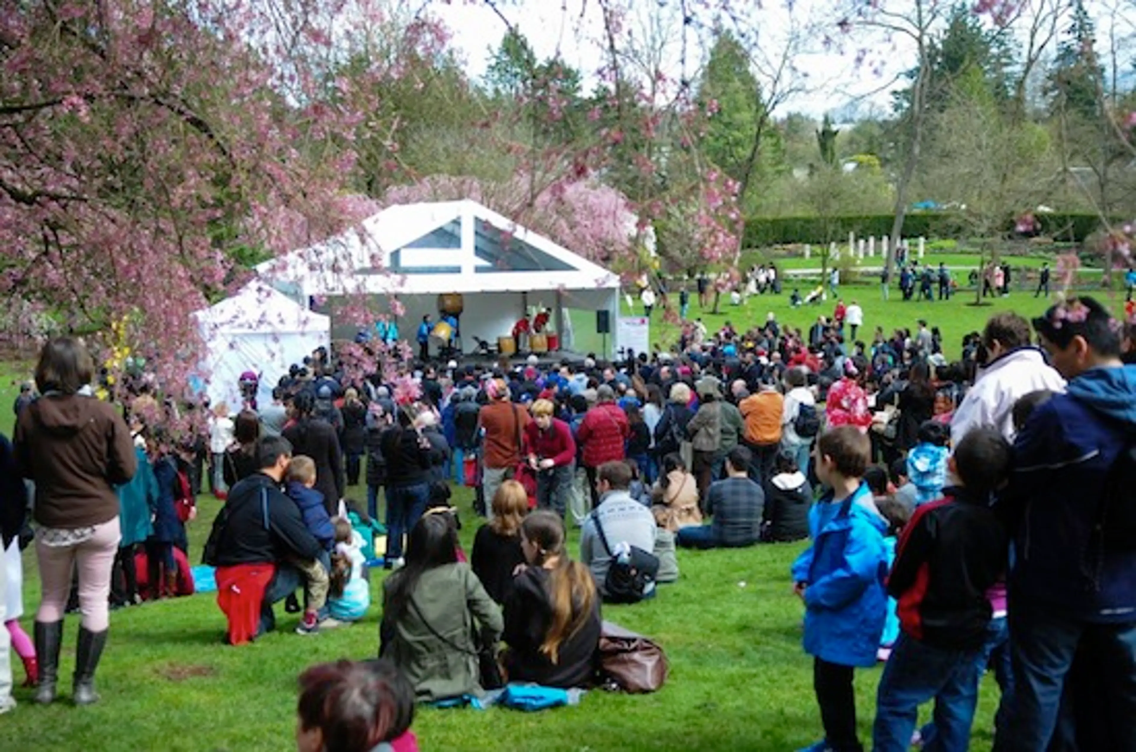 Majomo Photography Vancouver cherry blossom festival
