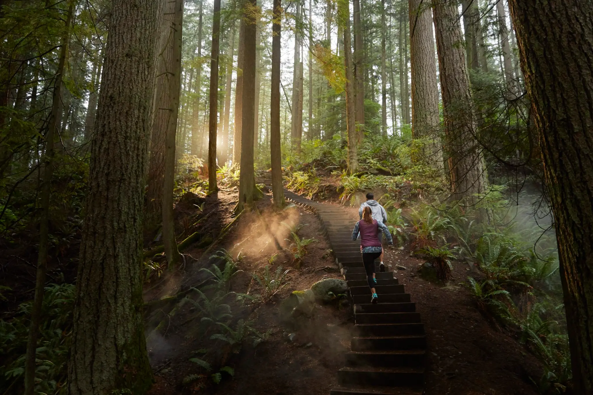 Hikers on Vancouver's North Shore