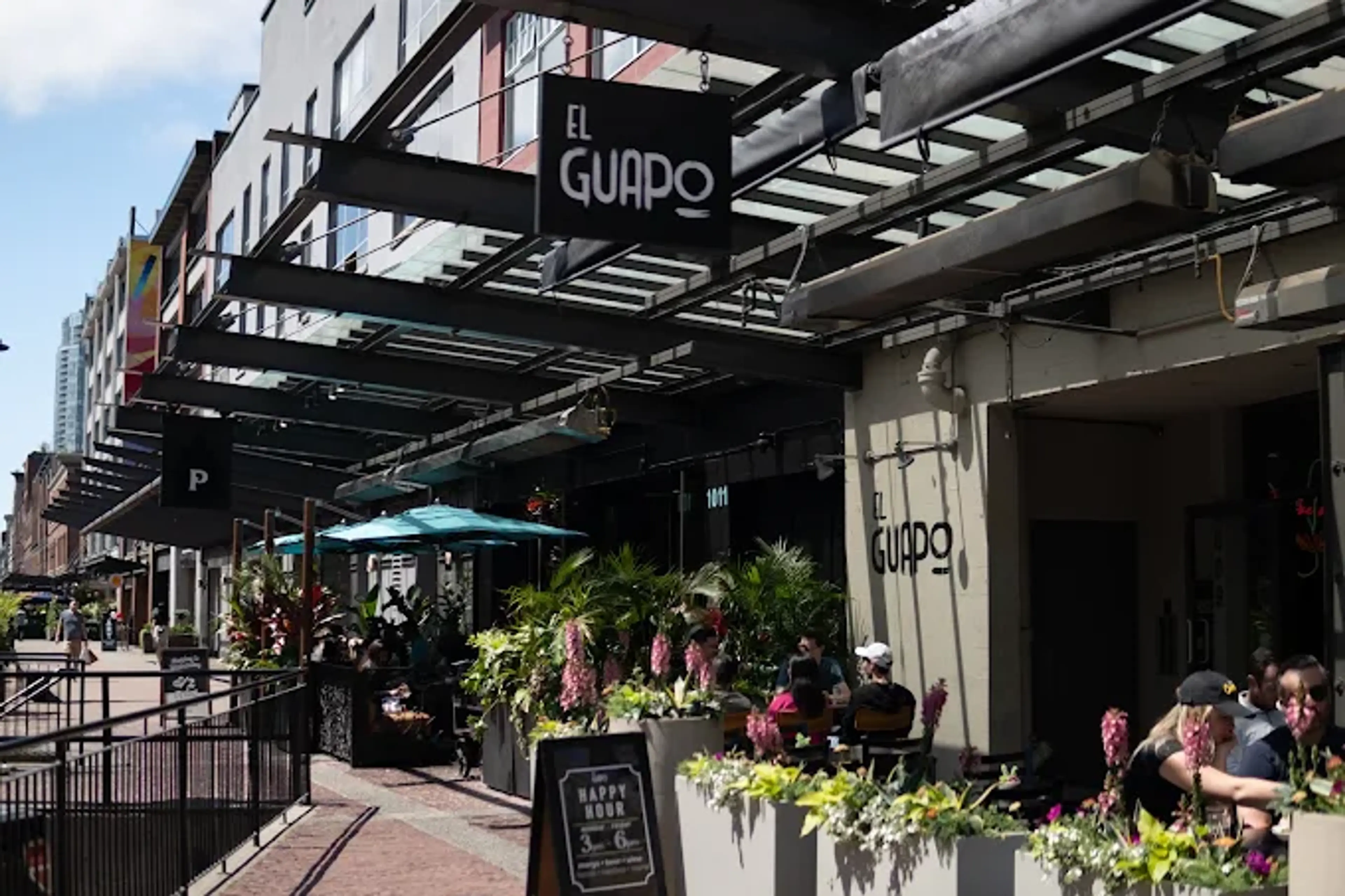 The Greek by Anatoli