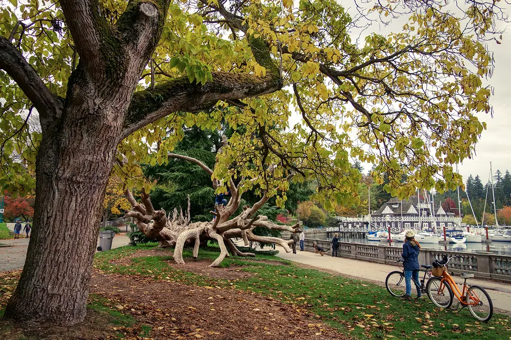 Biking in Stanley Park