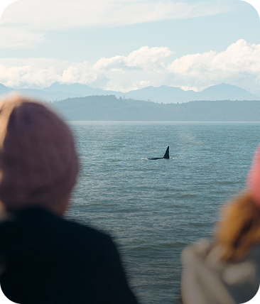 Unique Vancouver Experiences