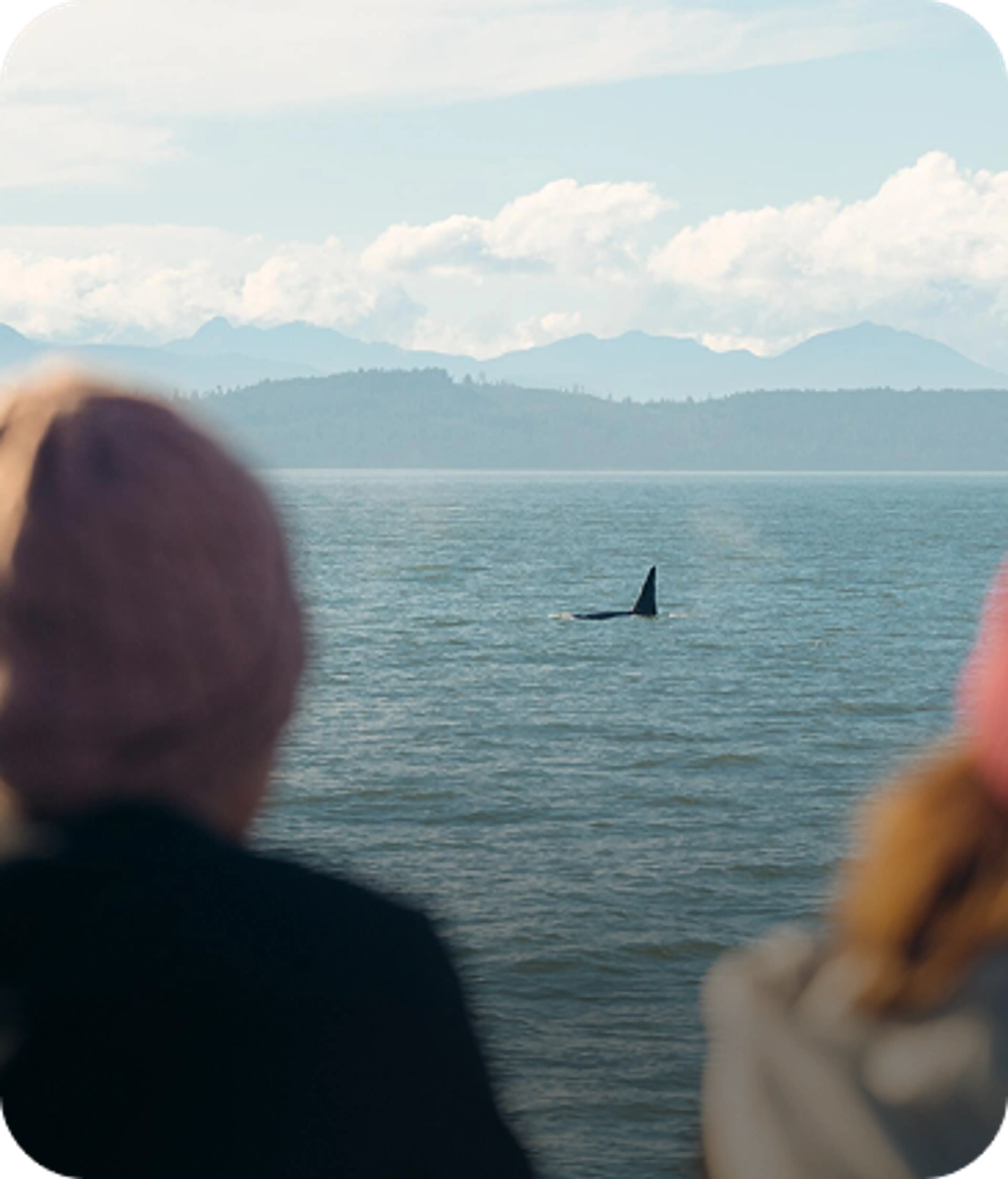 Unique Vancouver Experiences