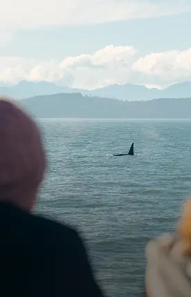 Unique Vancouver Experiences