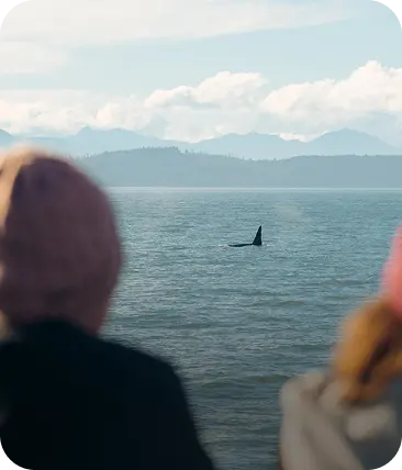 Unique Vancouver Experiences