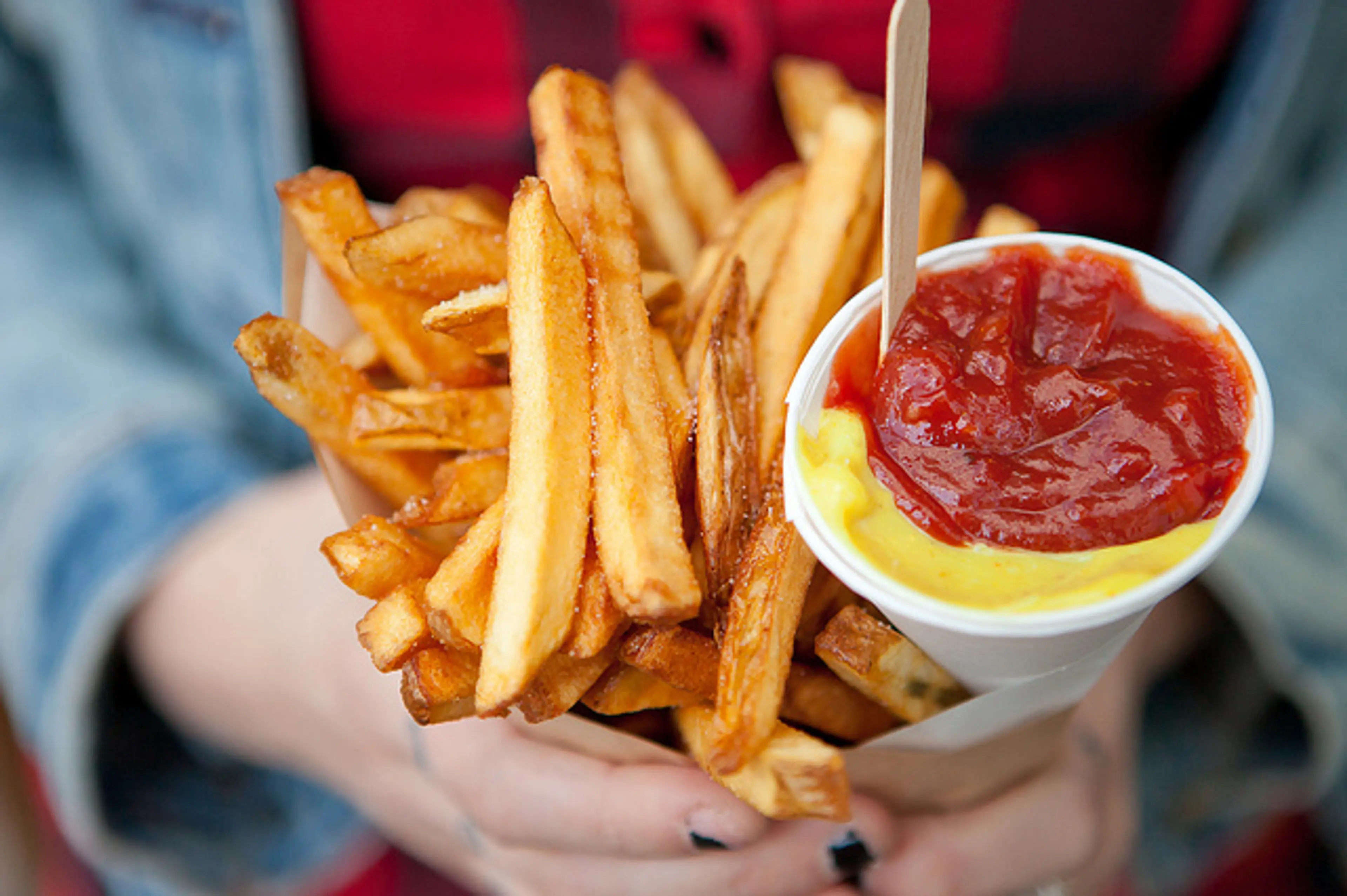fritz french fries