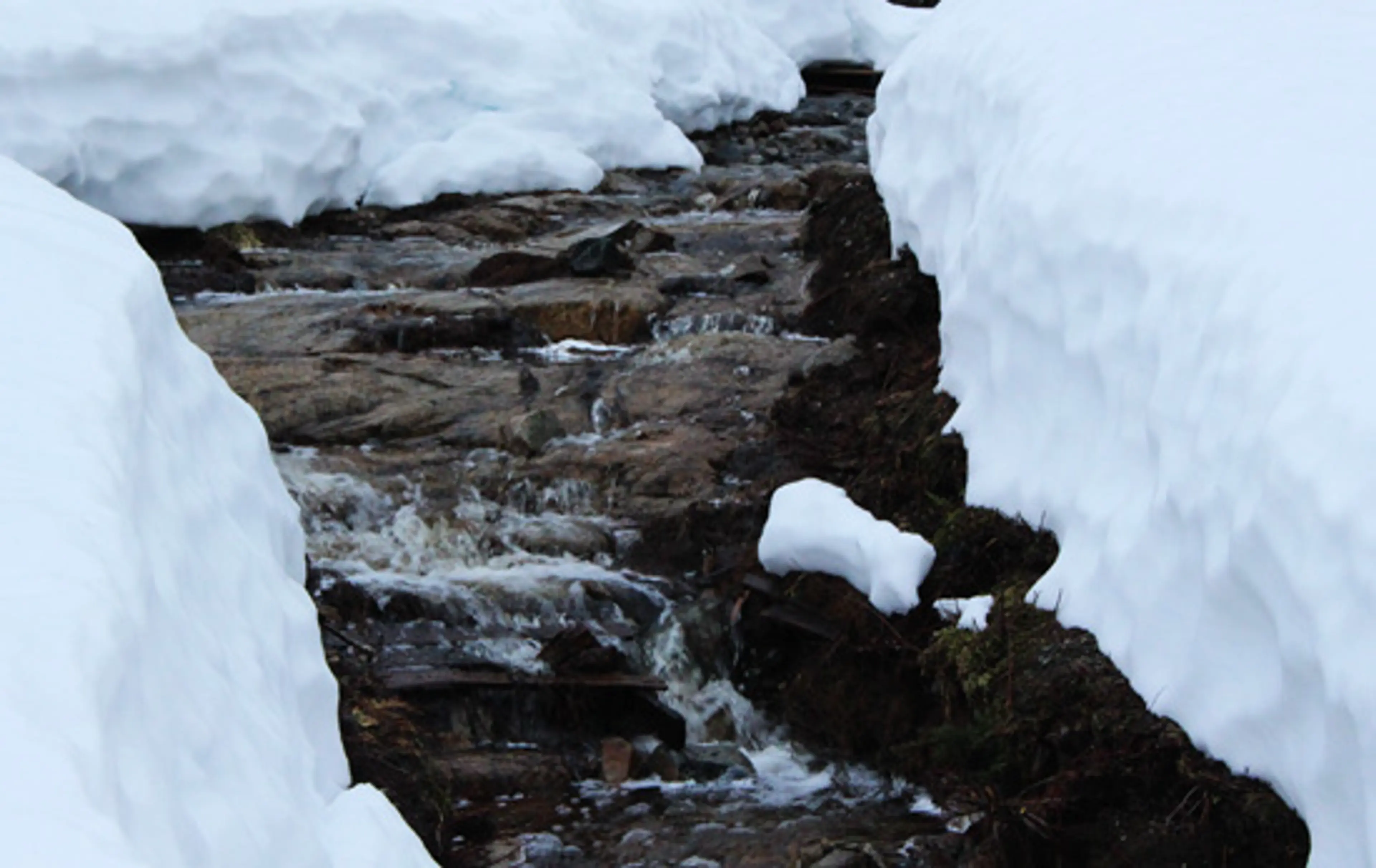 Discover-Outdoors-Snowshoe-Cypress2