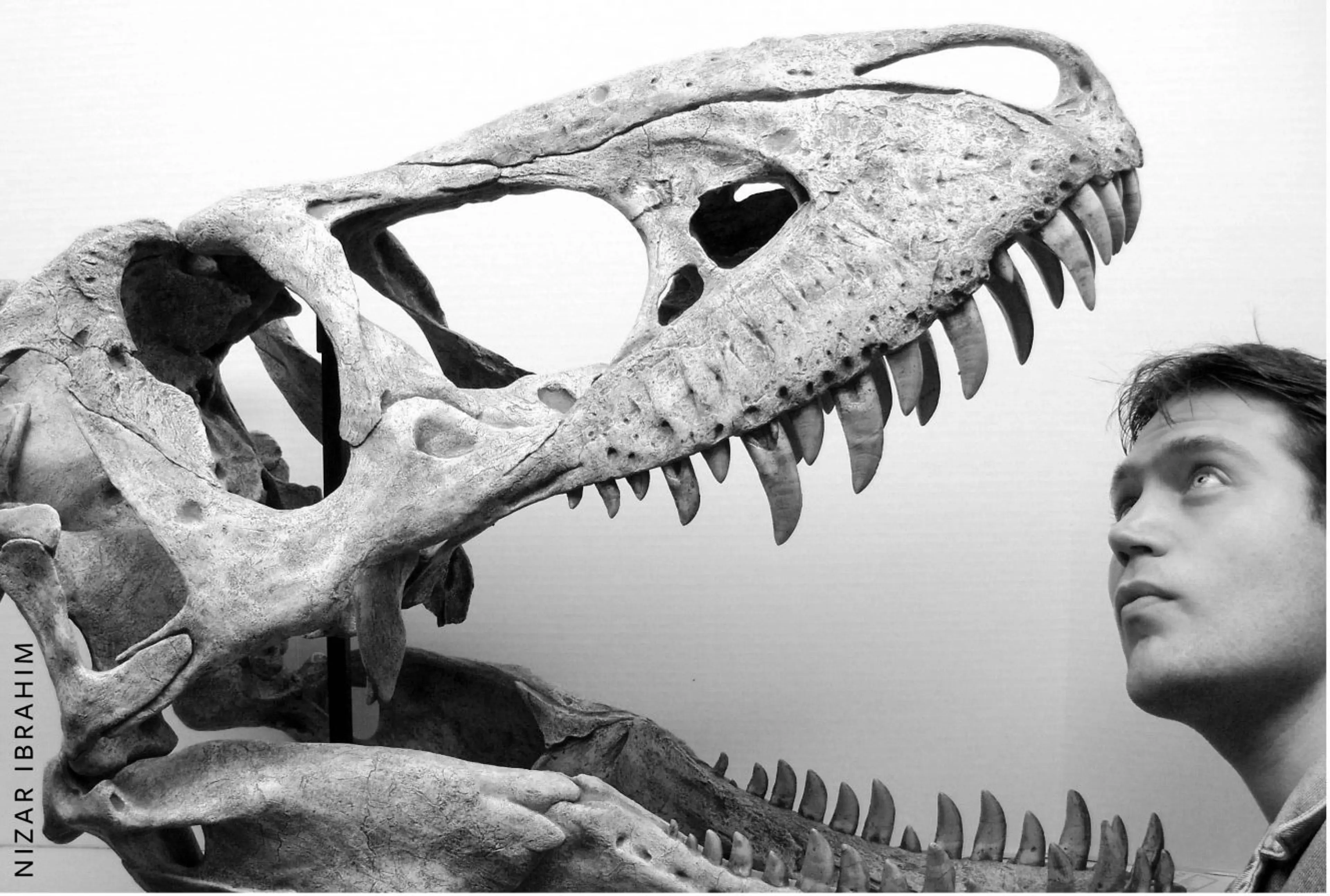 CONTEST ALERT! Win a Pair of Tickets to See “Spinosaurus”,  an Unforgettable National Geographic Live! Presentation