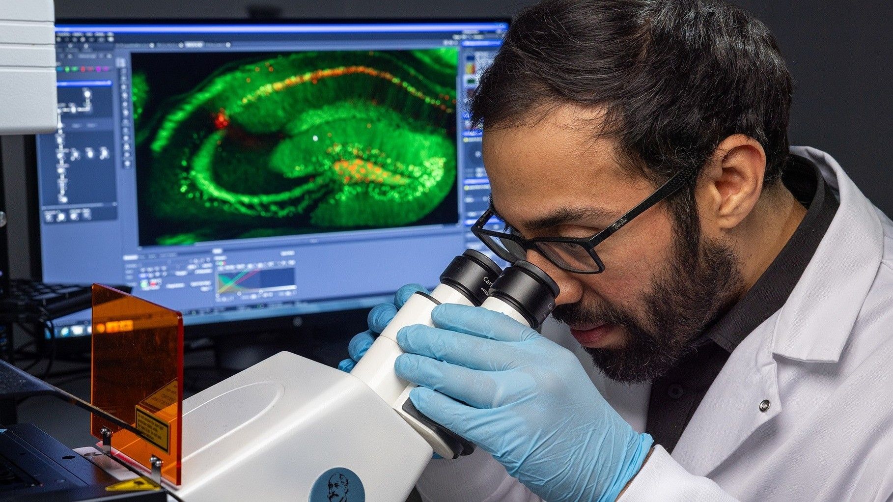 w-1818h-1023-e7bb3b-brain-promo2-1820x1140