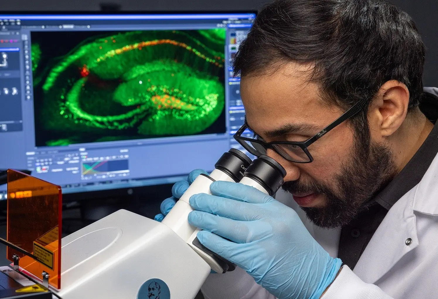 w-1818h-1023-e7bb3b-brain-promo2-1820x1140