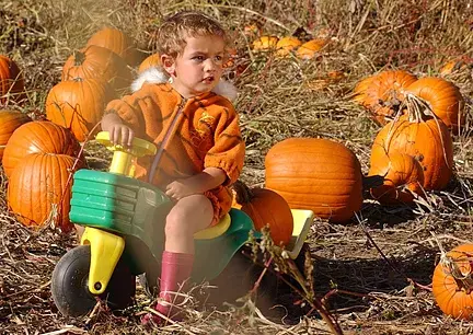 Hazelmere Pumpkin patch near Vancouver