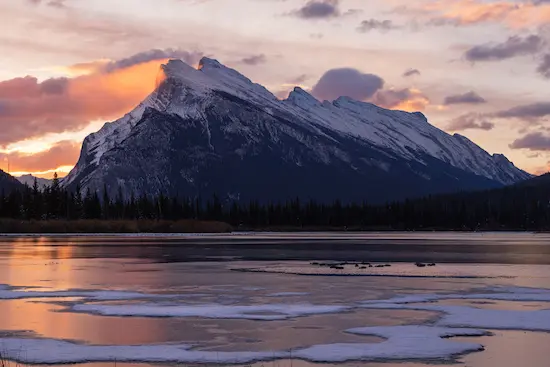 Elephants, coral reefs, wolverines and more at Elements Film Festival