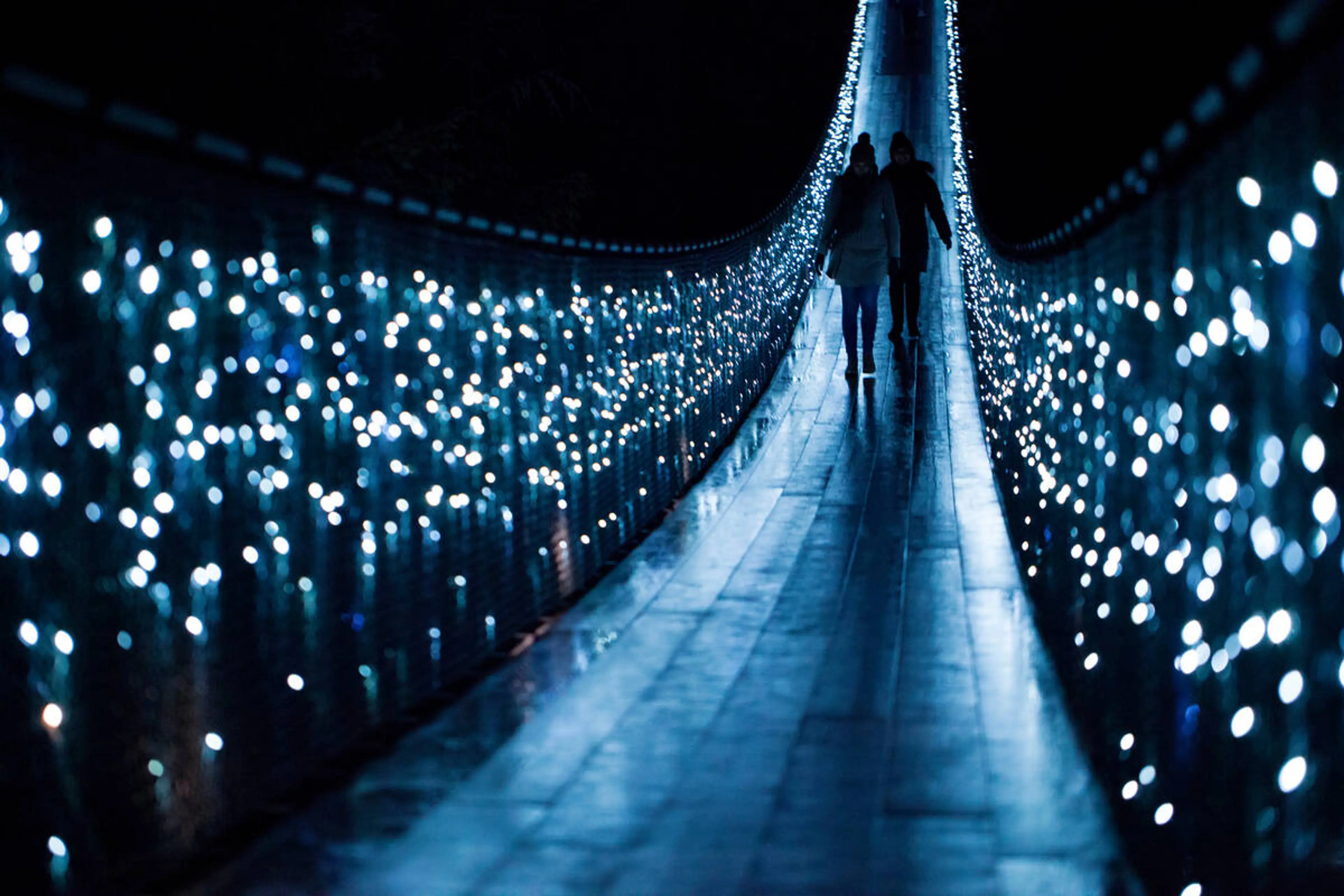 Canyon lights at Capilano Suspension Bridge
