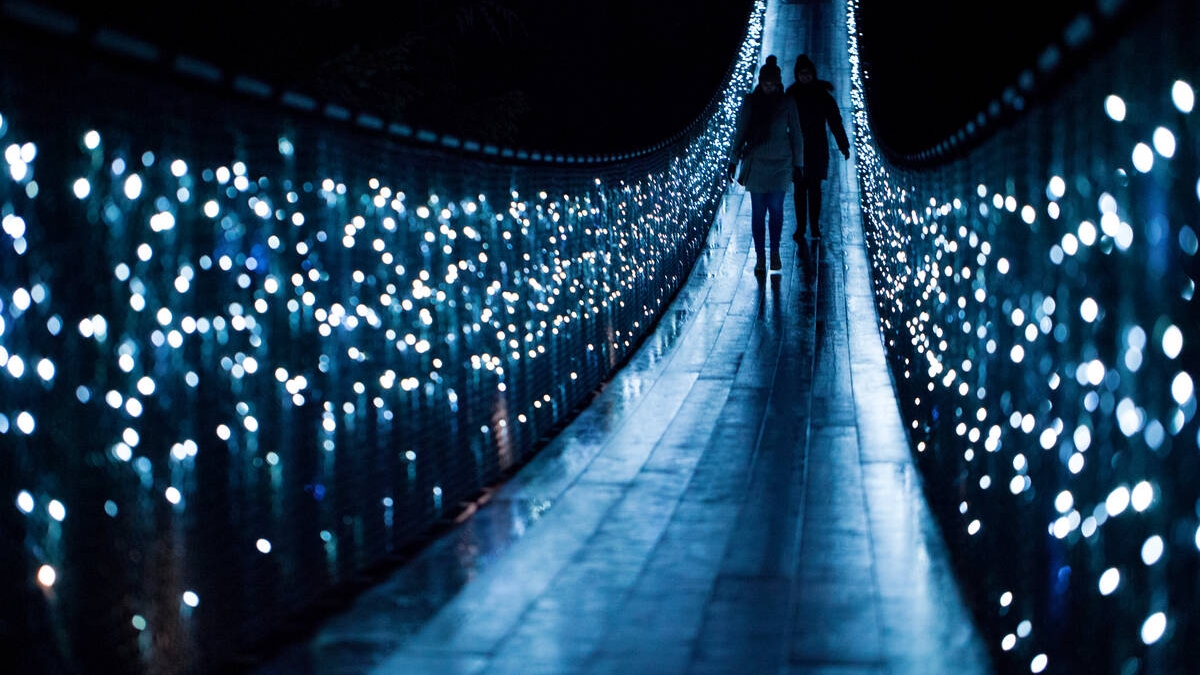 Canyon lights at Capilano Suspension Bridge