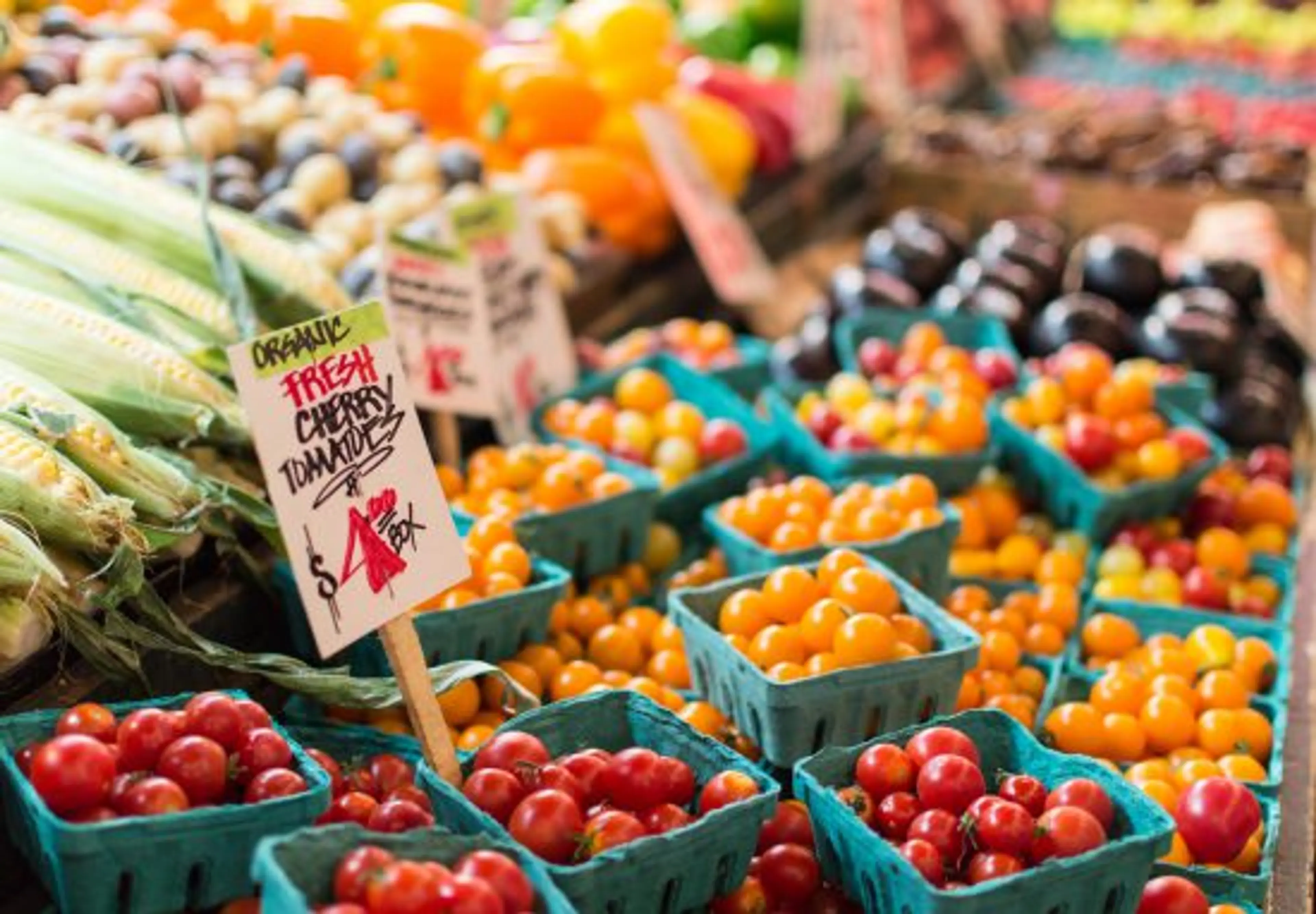 vancouver farmers markets 2018