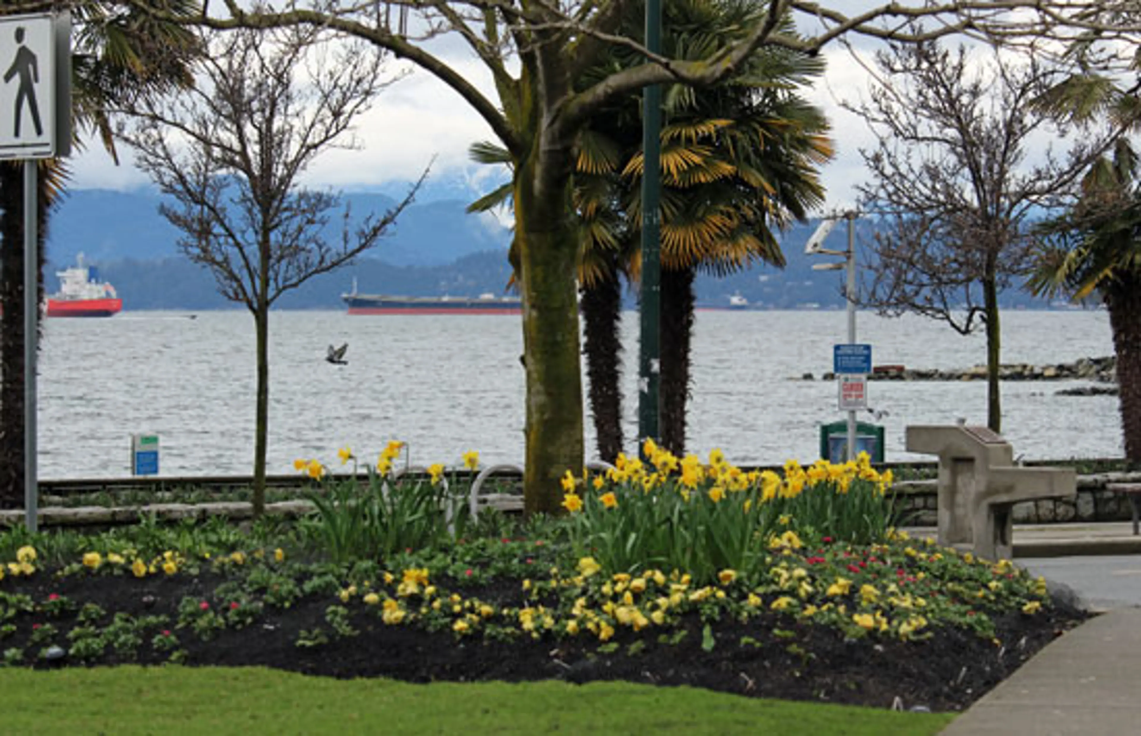Colours of Vancouver – Welcome Spring!