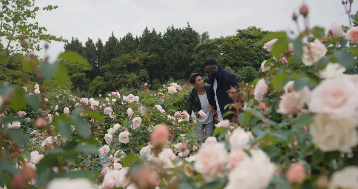 Two people enjoying the rose garden.