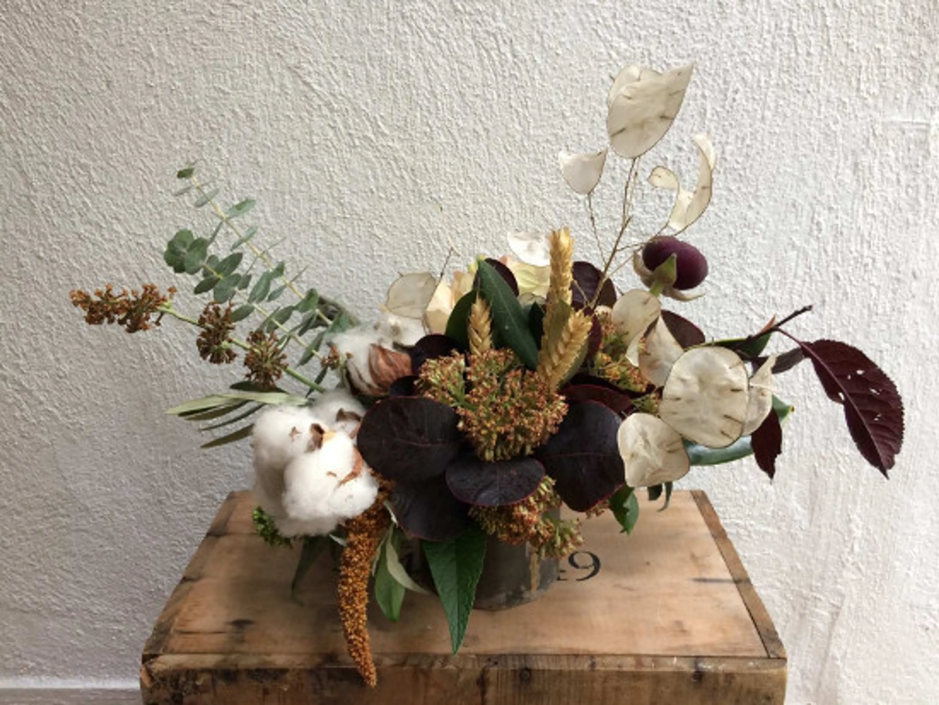 celsia-florist
