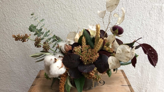 celsia-florist