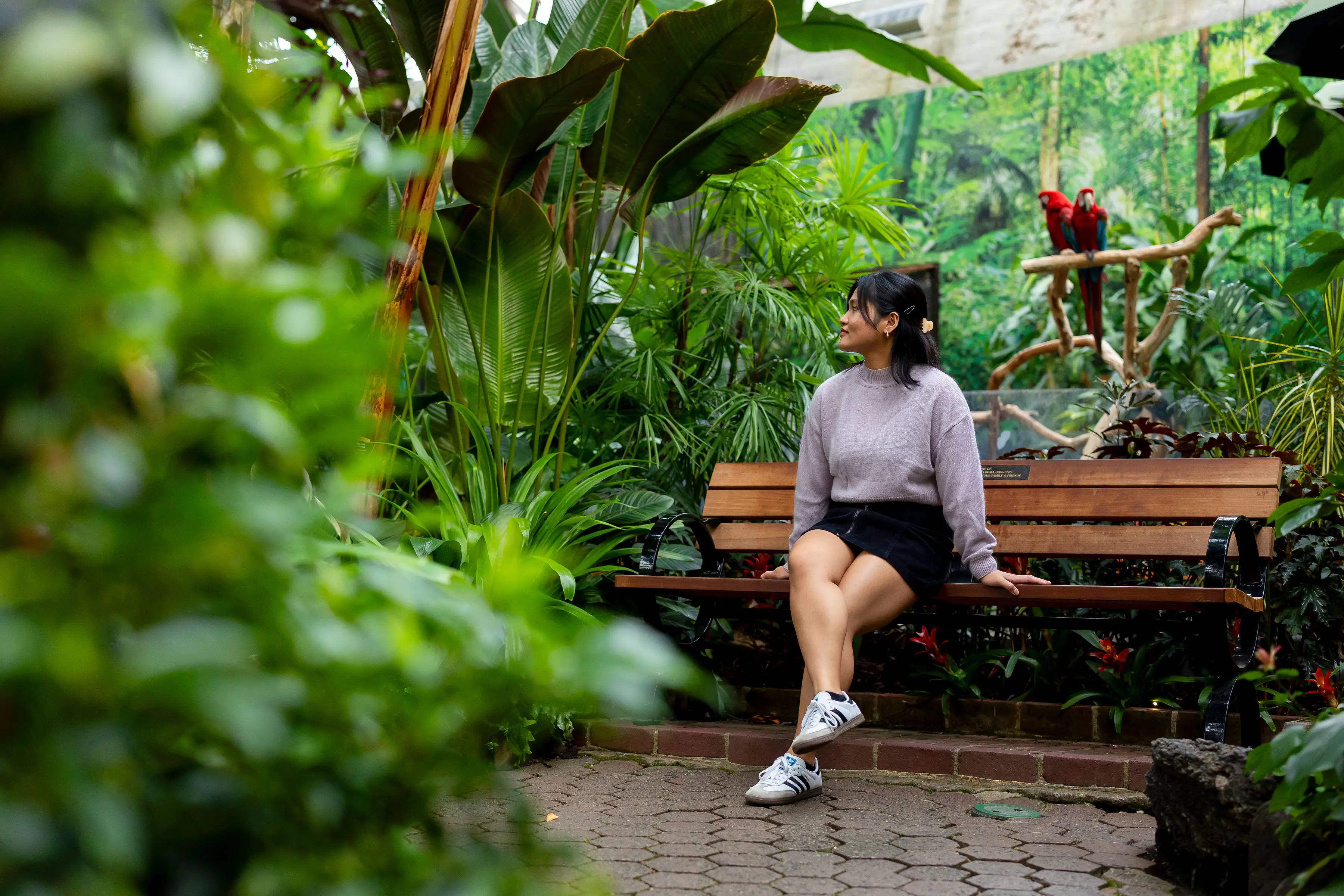 A person sitting on a bench at the Bloedel Conservatory in Vancouver.