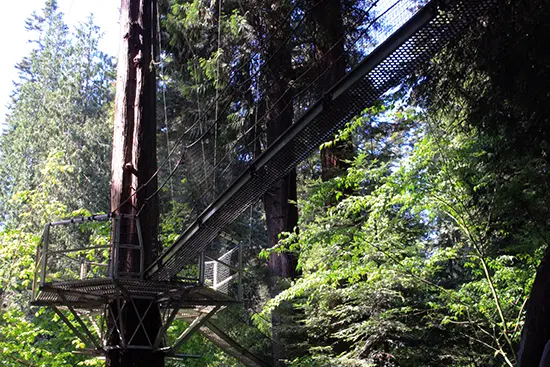 Discover Outdoors Greenheart TreeWalk4