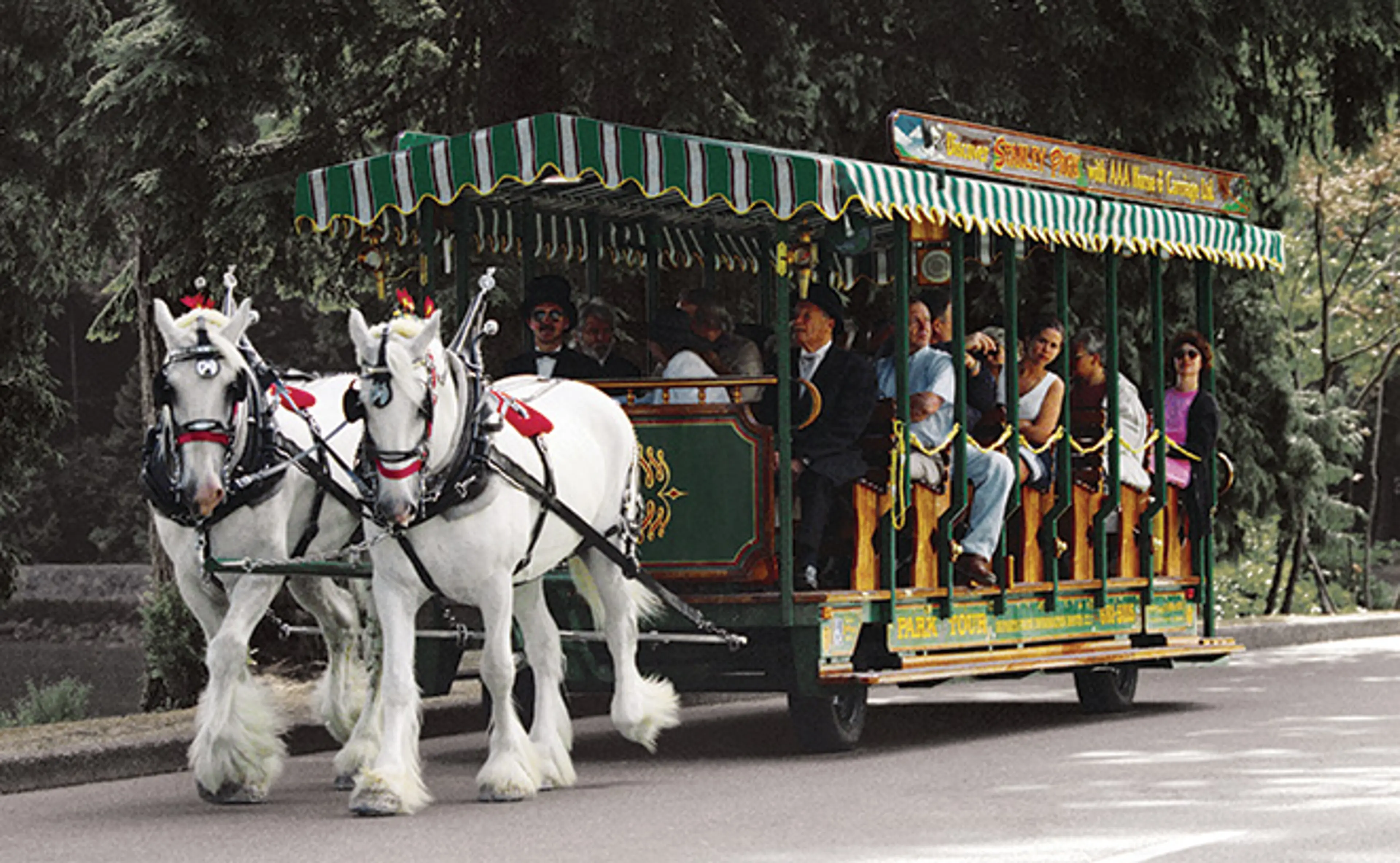 Horse-drawn-tours-bf1125da5056b3a_bf1126ea-5056-b3a8-49bb9e71a3581eeb