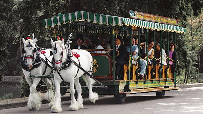 Horse-drawn-tours-bf1125da5056b3a_bf1126ea-5056-b3a8-49bb9e71a3581eeb