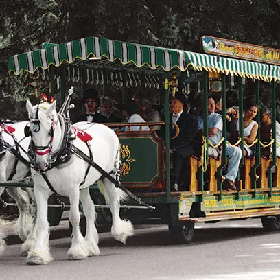 Horse-drawn-tours-bf1125da5056b3a_bf1126ea-5056-b3a8-49bb9e71a3581eeb