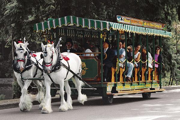 Horse-drawn-tours-bf1125da5056b3a_bf1126ea-5056-b3a8-49bb9e71a3581eeb