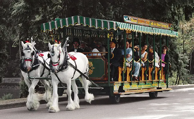 Horse-drawn-tours-bf1125da5056b3a_bf1126ea-5056-b3a8-49bb9e71a3581eeb