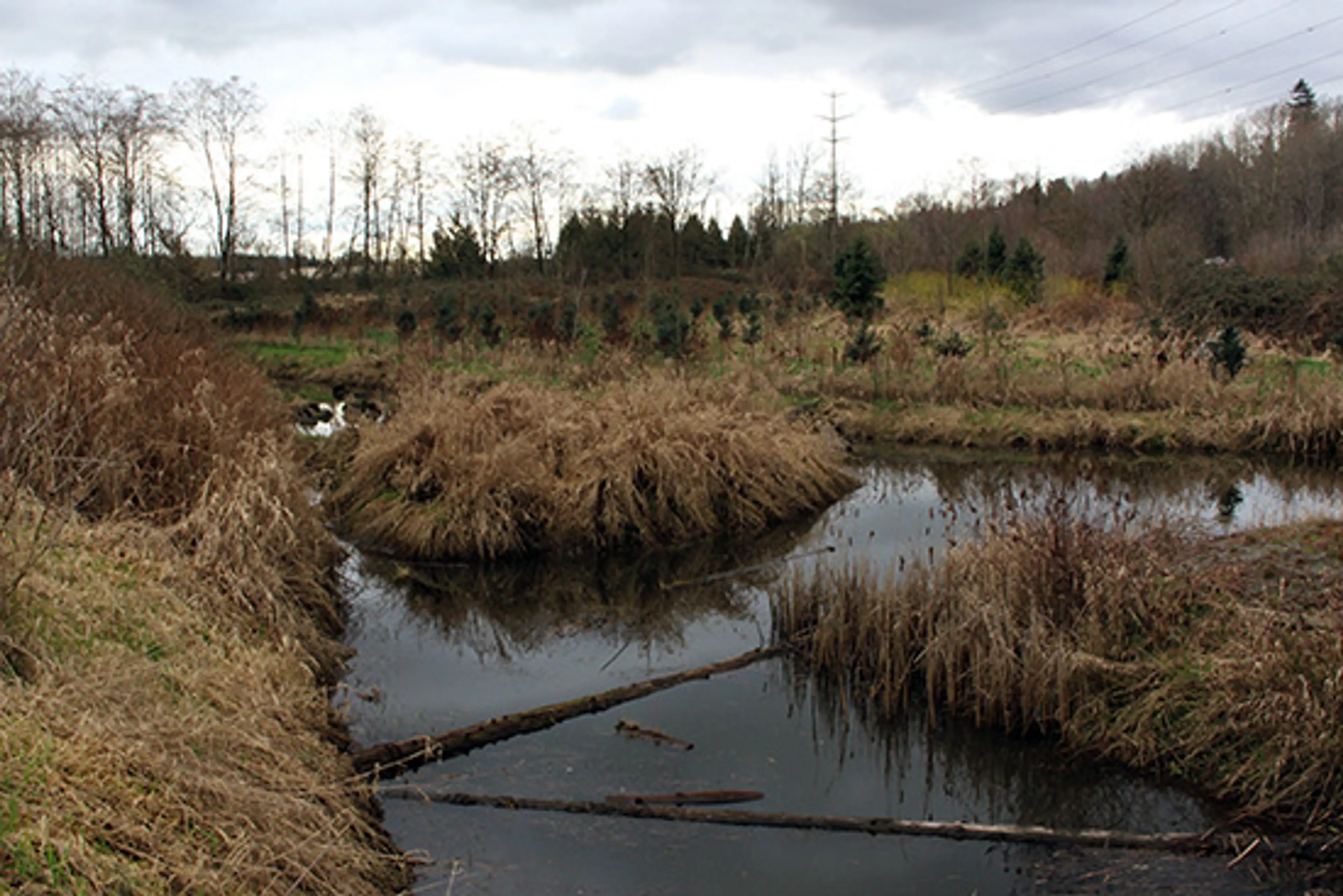 Discover-Outdoors-Colony-Farm8