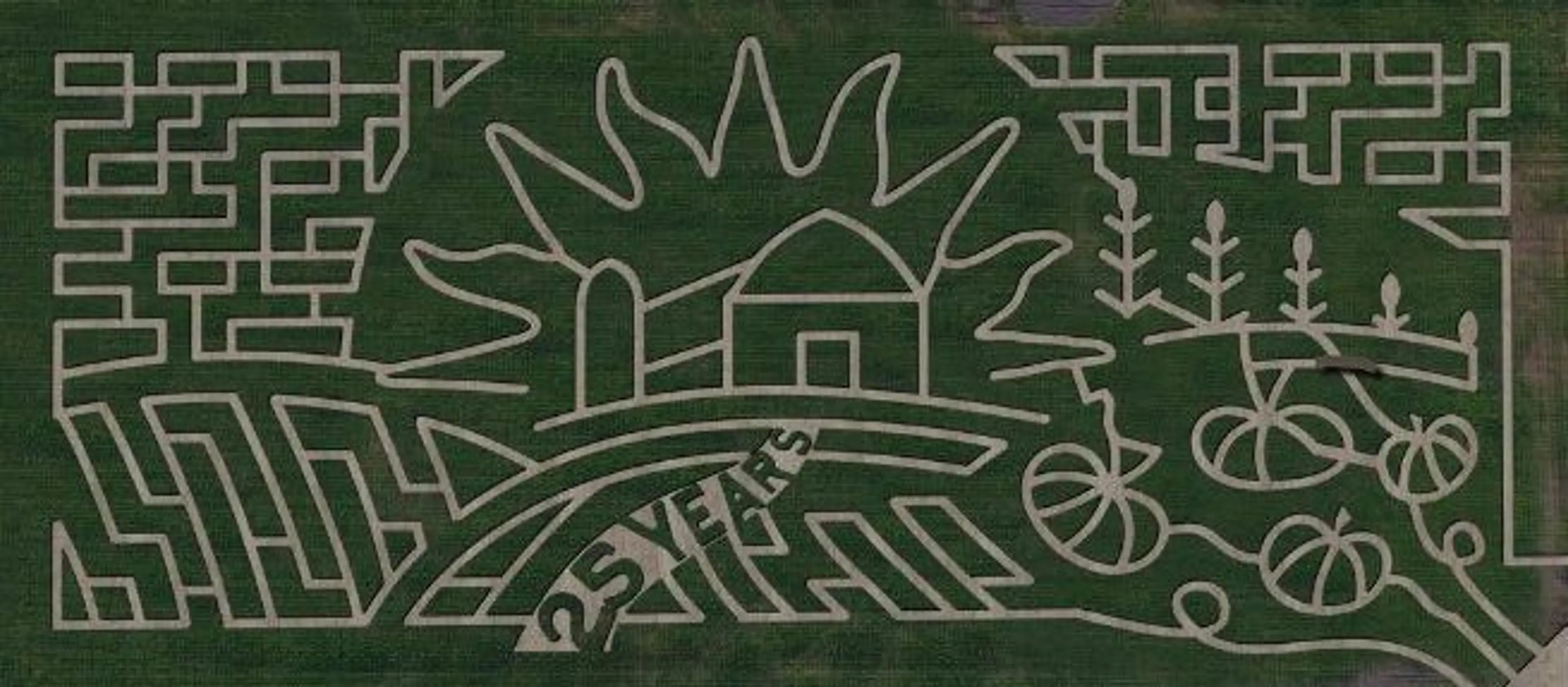 Aerial view of the 2023 Chilliwack corn maze