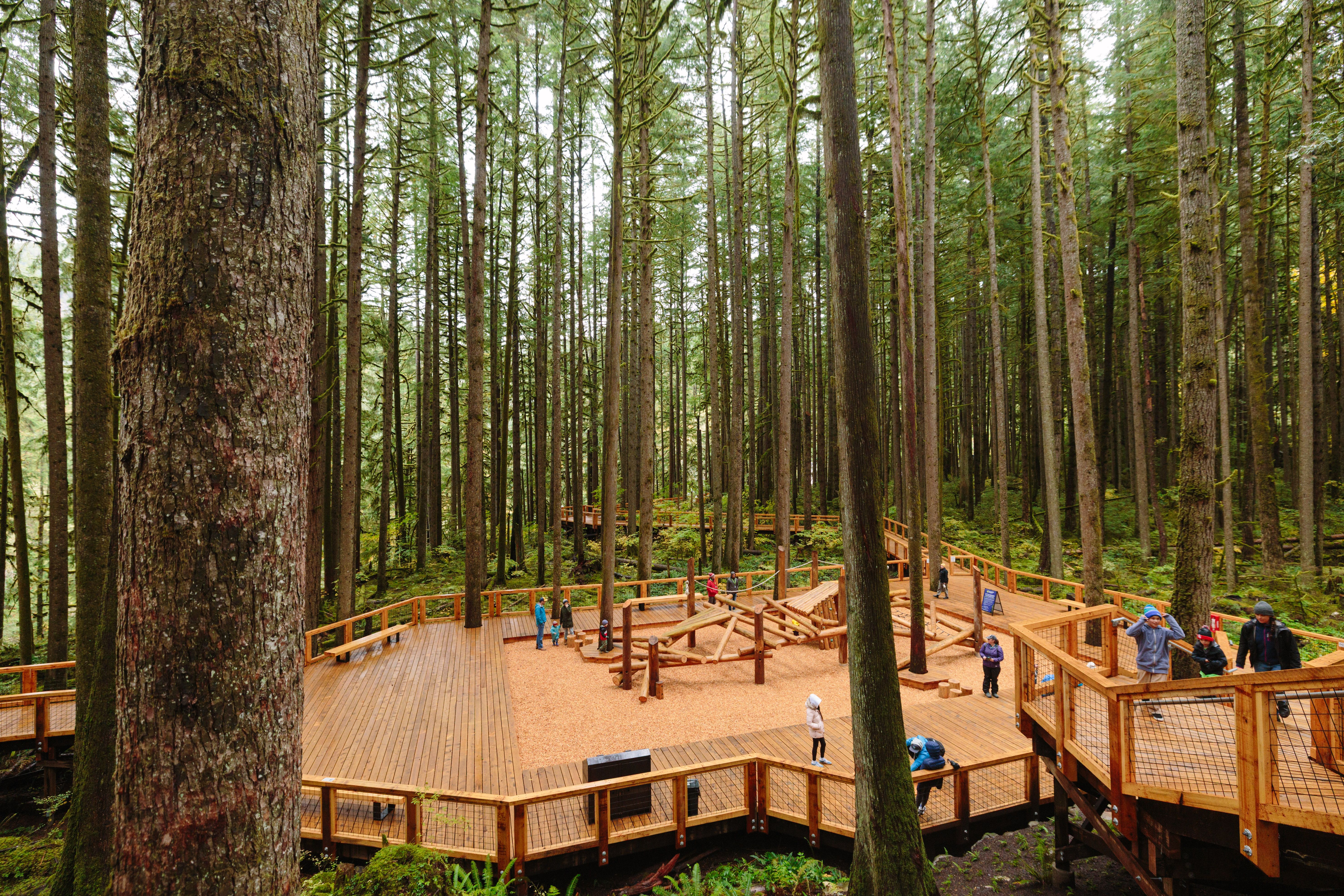 Little Cedars Play Area