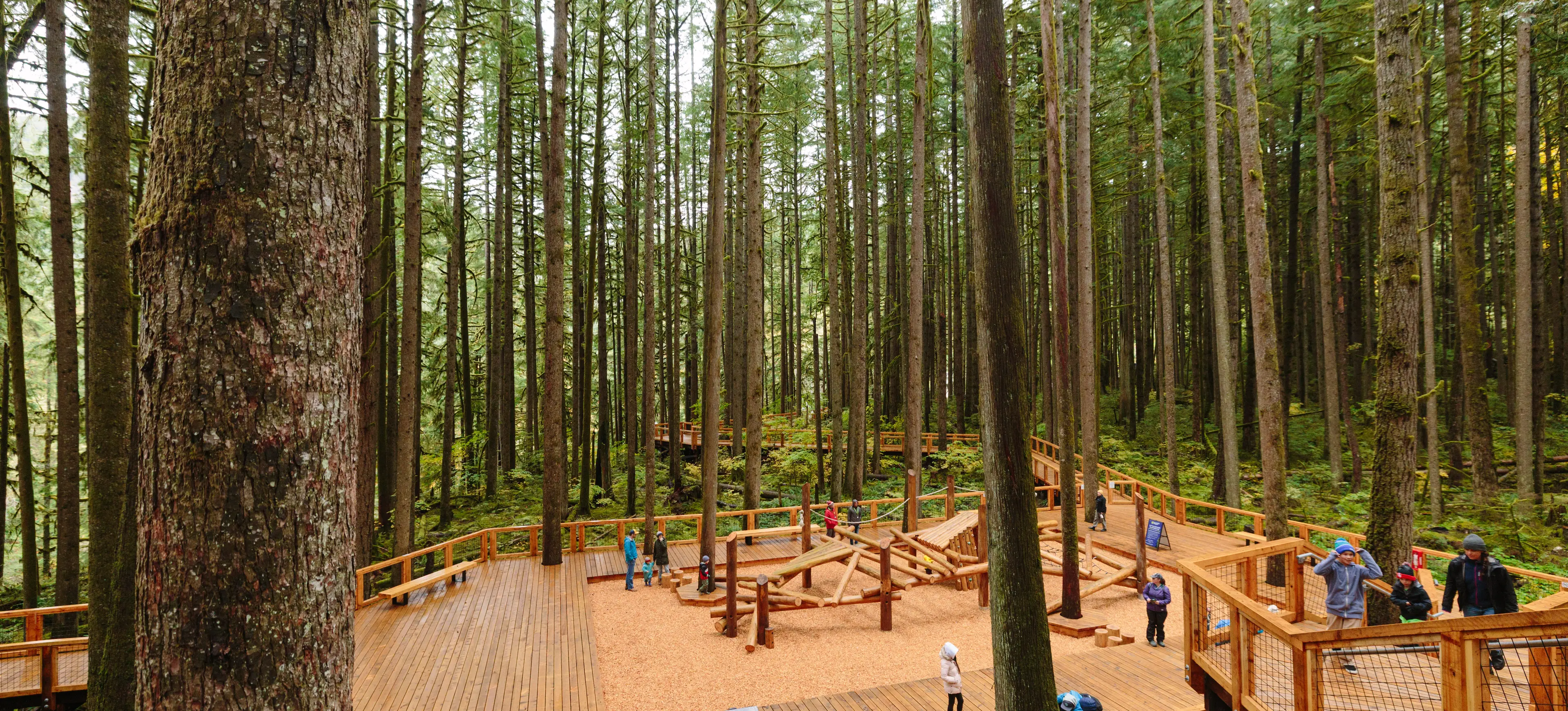 Little Cedars Play Area