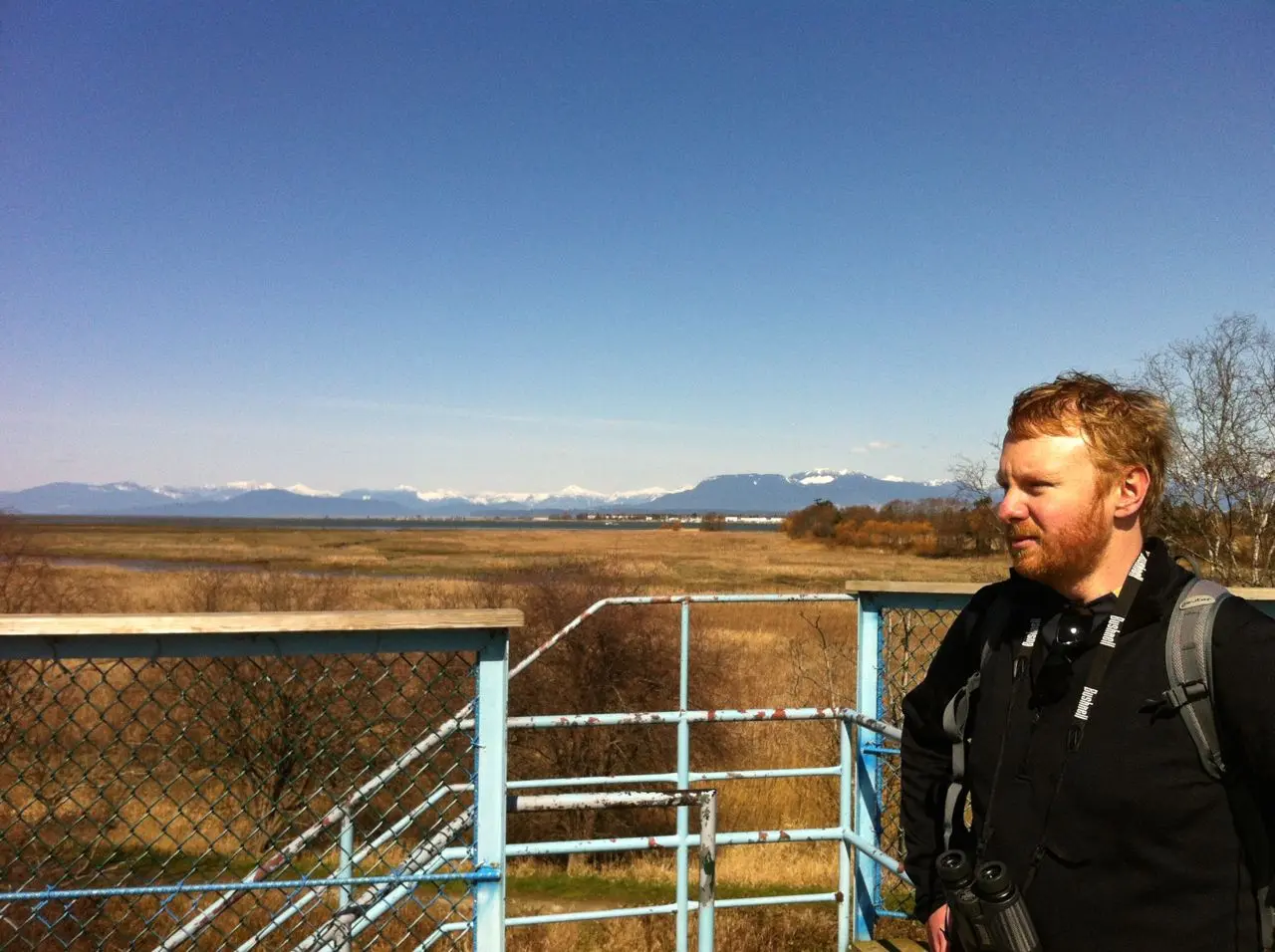 The view from the top of the viewing tower at Reifel Bird Sanctuary in Ladner