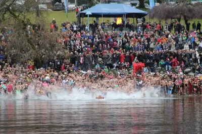 Deep Cove Penguin Plunge