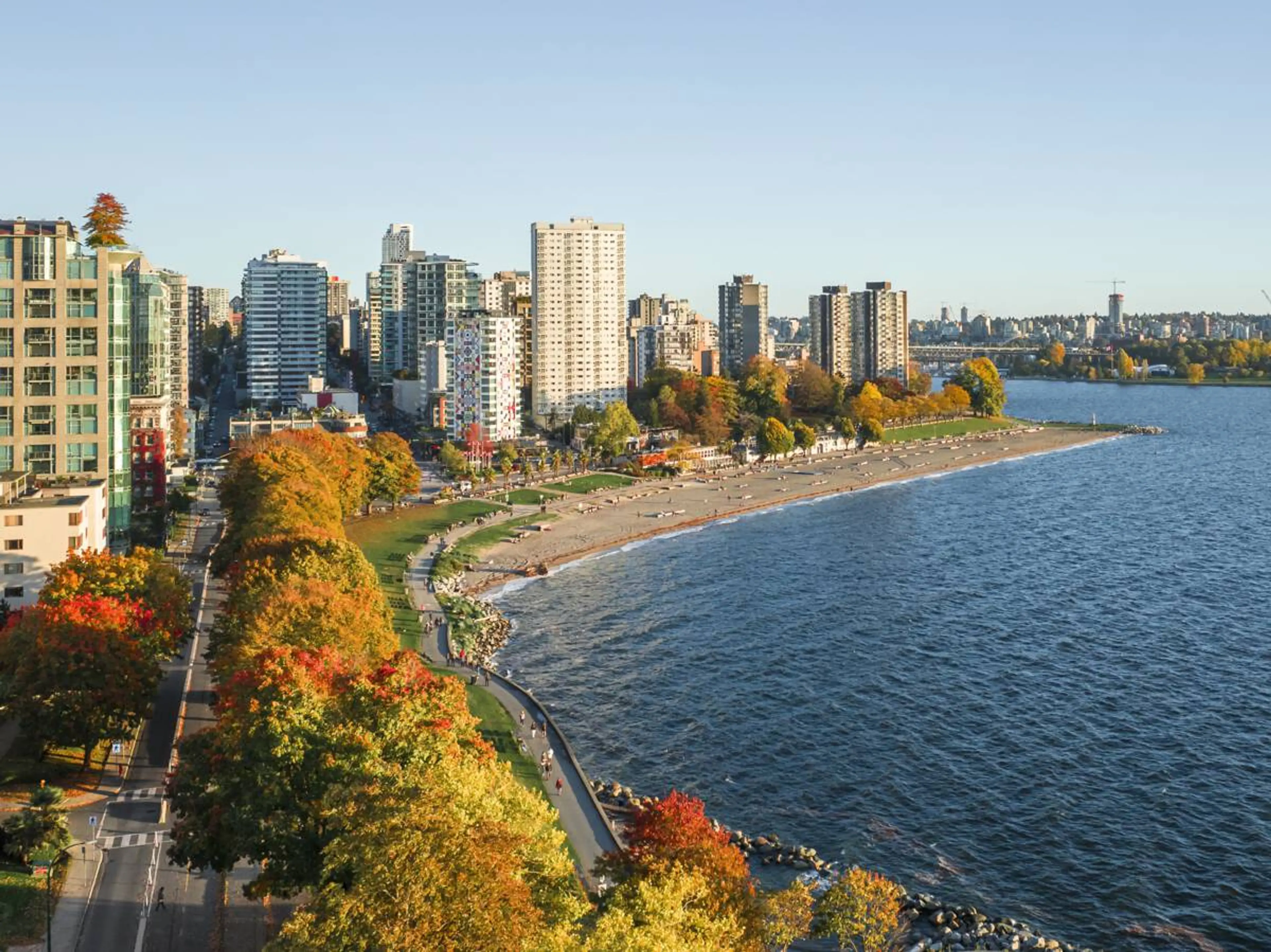 Aerial photo of English Bay beach and the highrises of the West End of Vancouver. The trees lining the street are in full fall colours. 