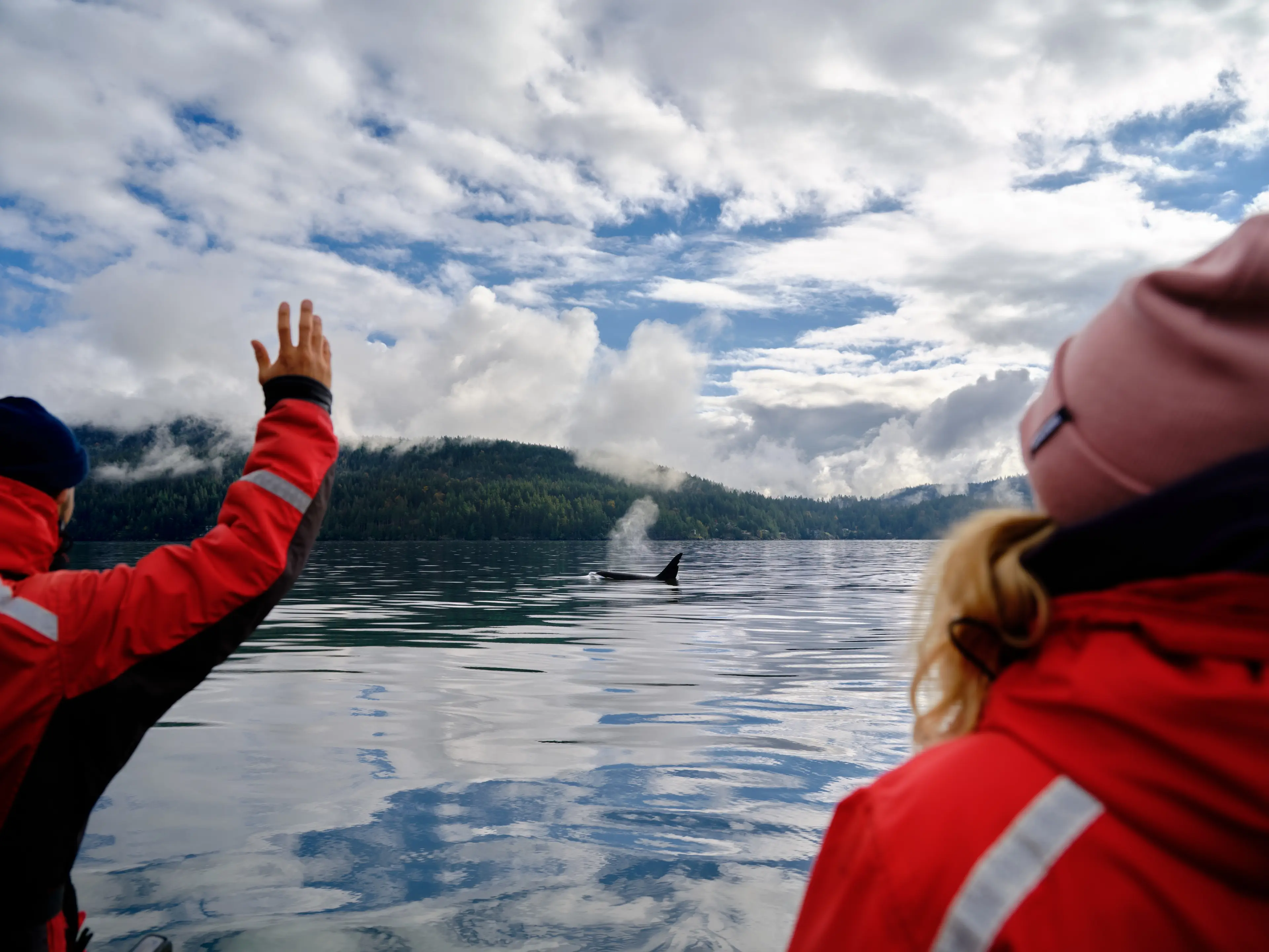 Two people in red jackets on a boat waving at an orca whale surfacing in calm water with forested hills and cloudy sky in the background.