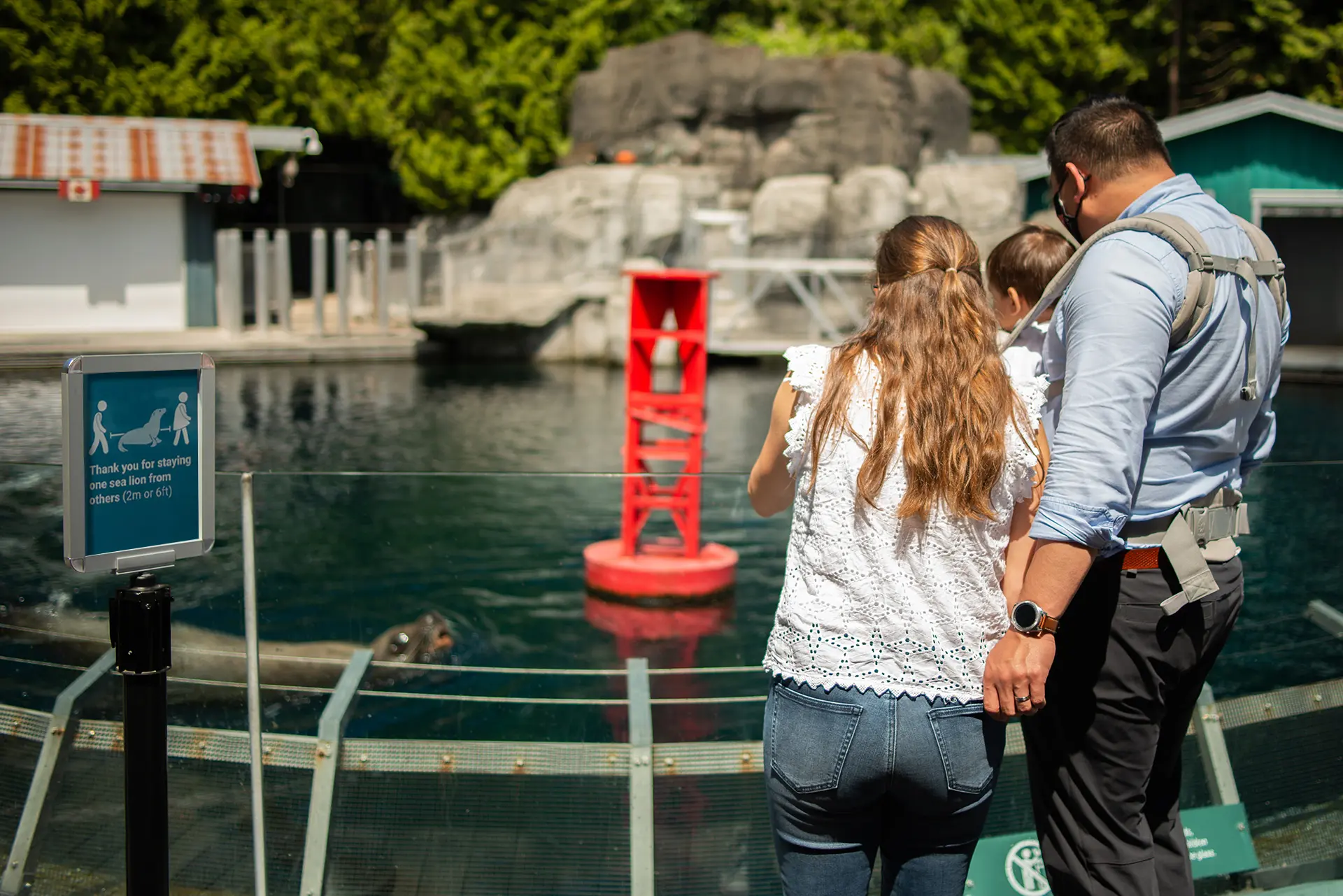 Family time at the Vancouver Aquarium is Back!