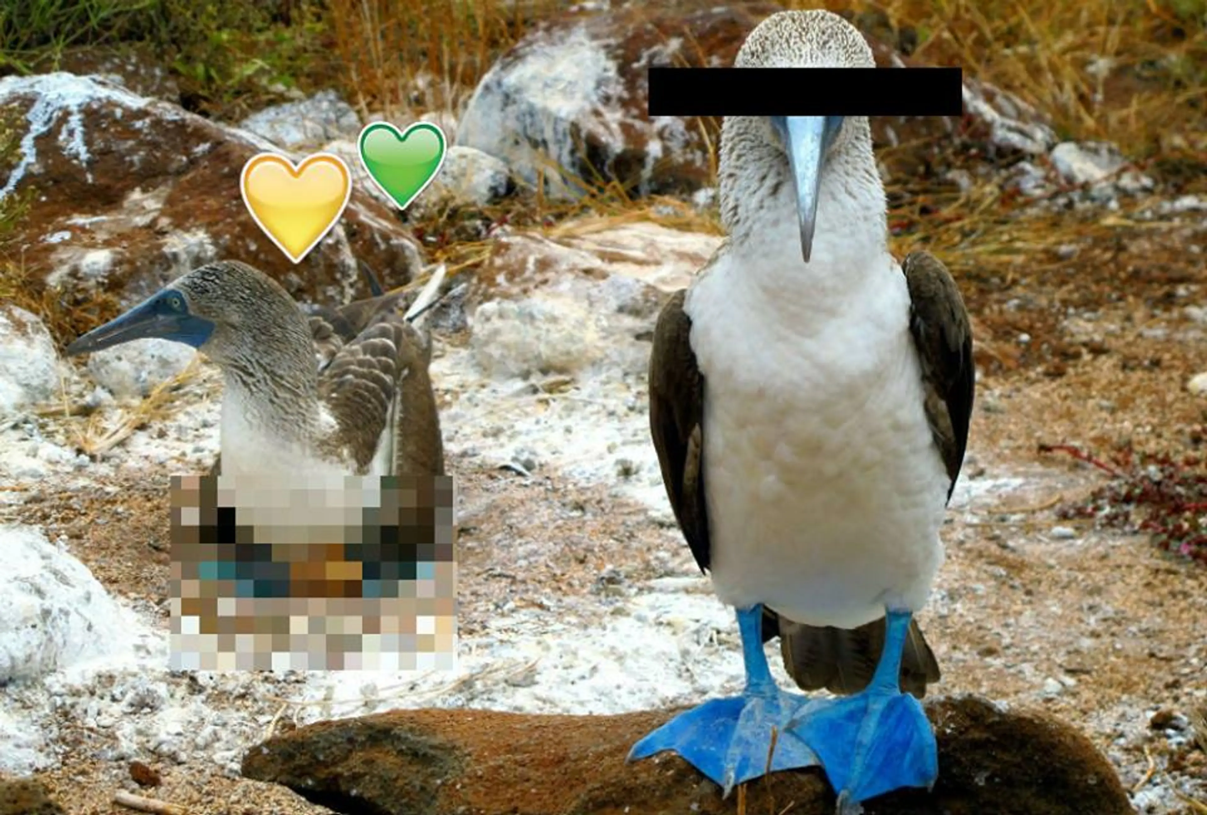Science World After Dark: Animal Mating