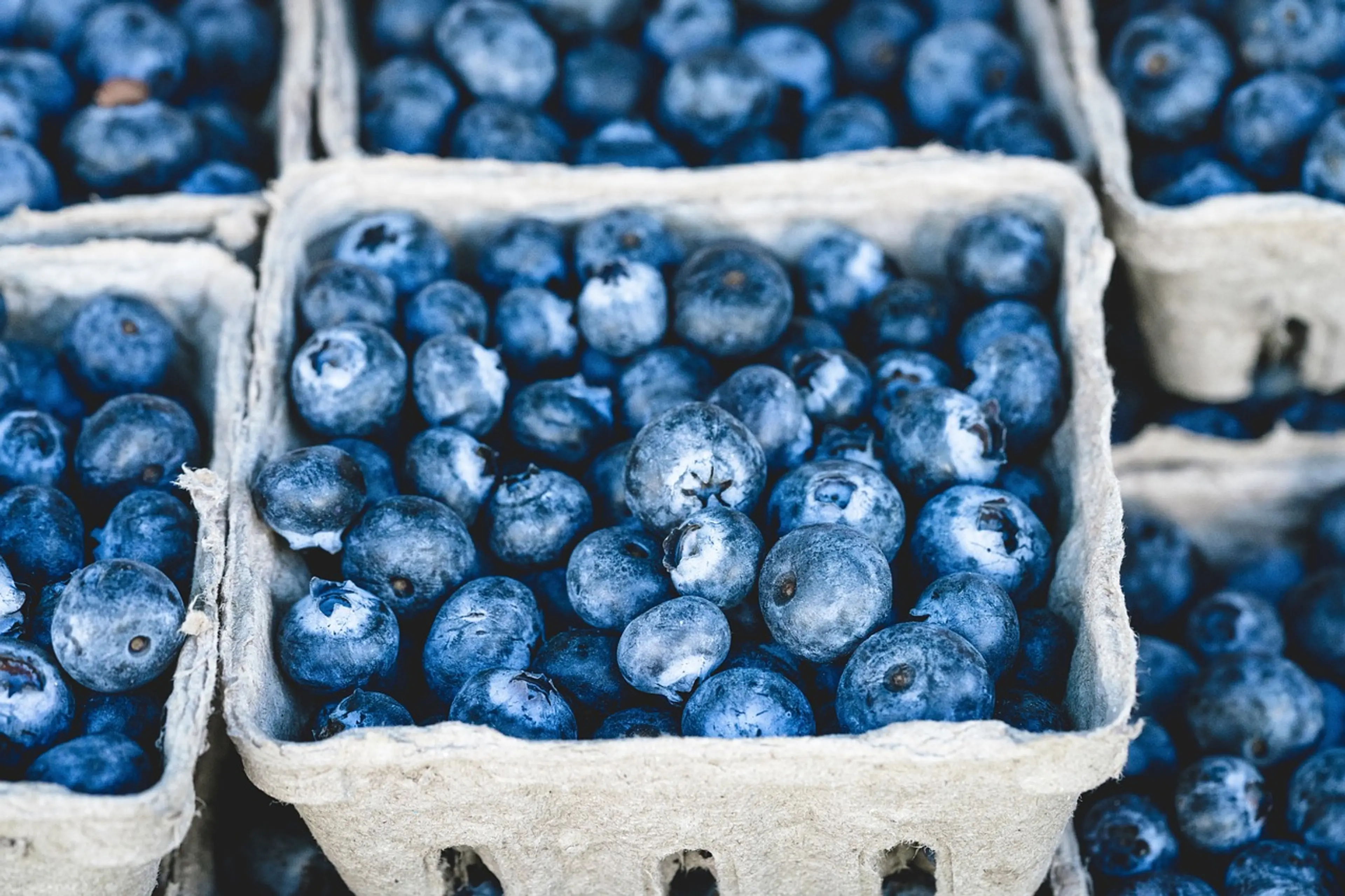 pints of blueberries