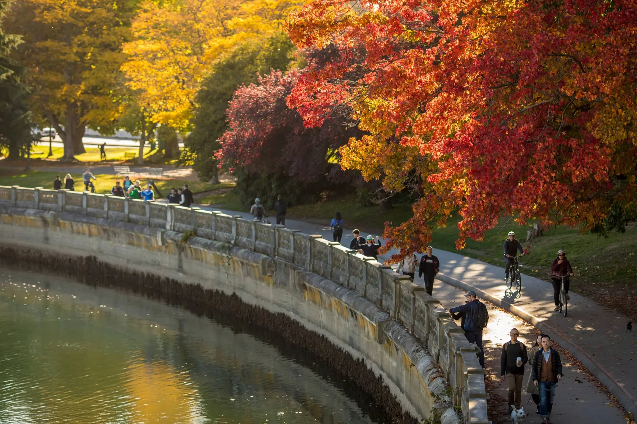 TOP THINGS TO DO IN VANCOUVER CANADA visual data 7
