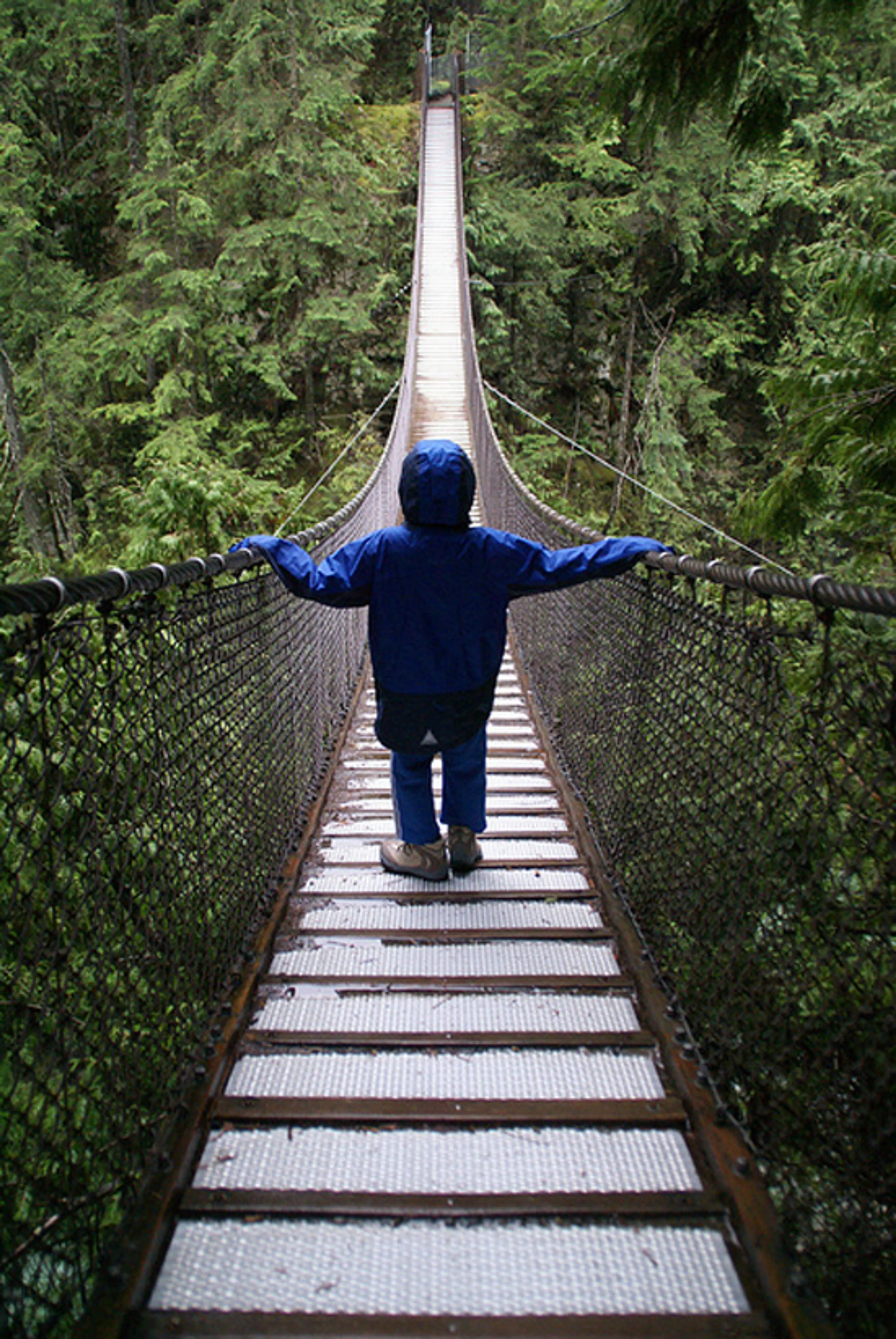 Trailblazing on Family Day – Four Family Friendly Walks