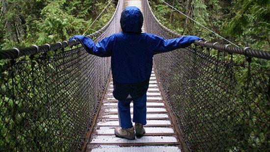 Trailblazing on Family Day – Four Family Friendly Walks
