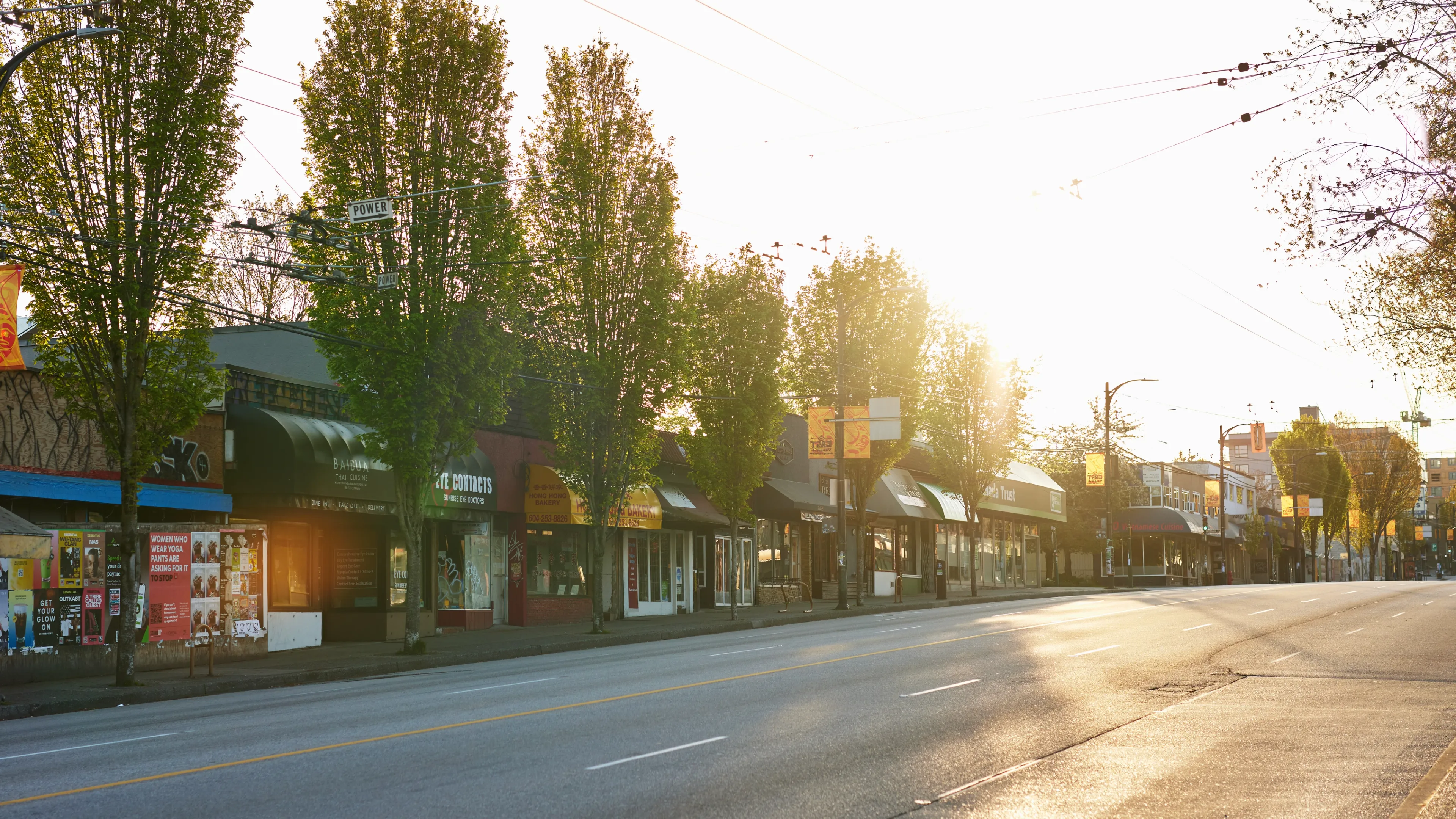 Empty street with small shops and tall trees on the sidewalk during bright sunset.