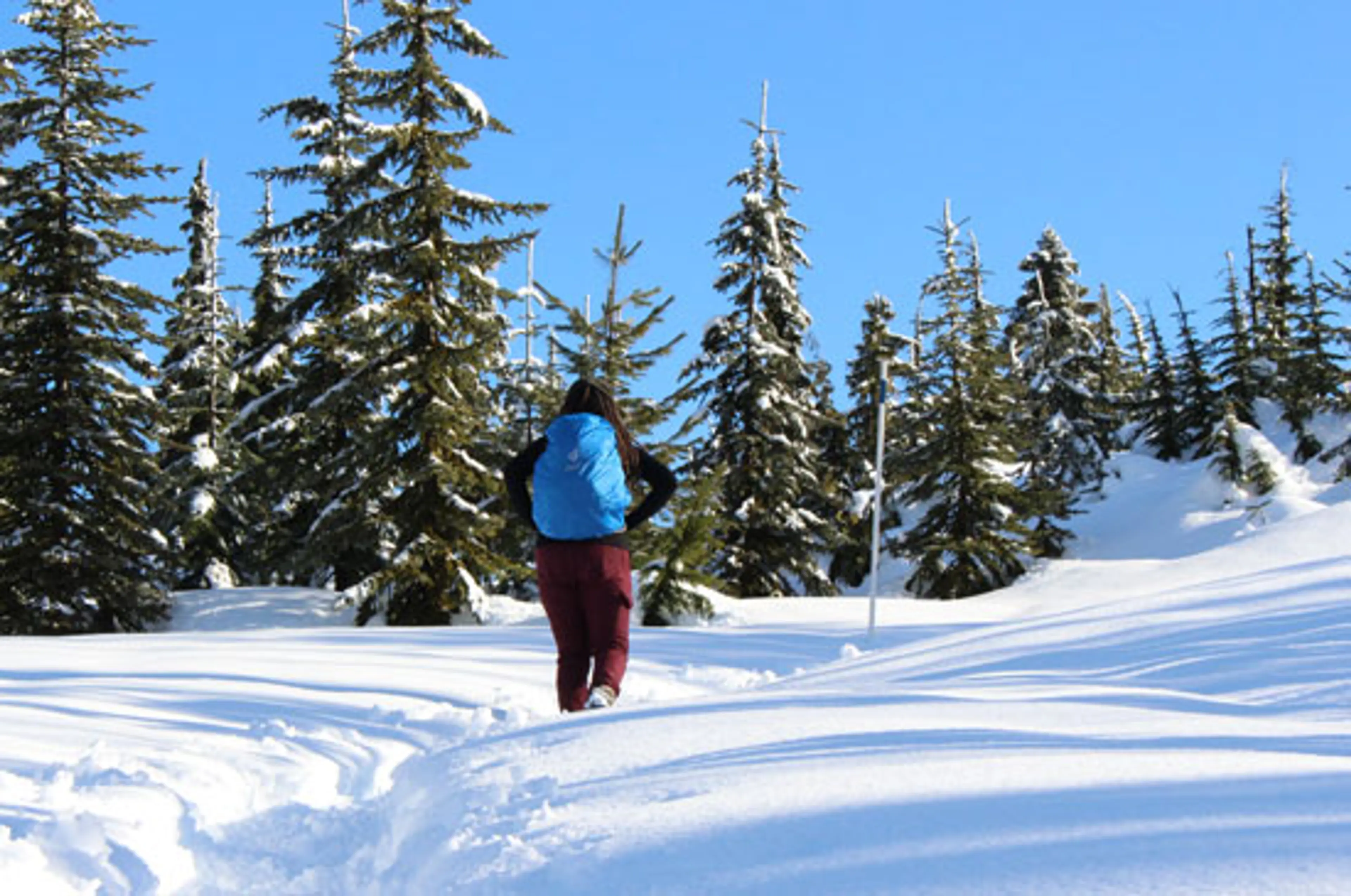 Live 4 Snow – Get Your Snowshoes On!