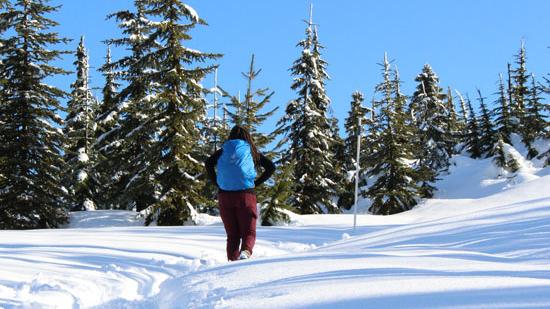 Live 4 Snow – Get Your Snowshoes On!