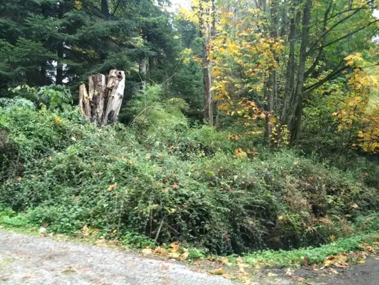 Photo Credit: Tara Lee