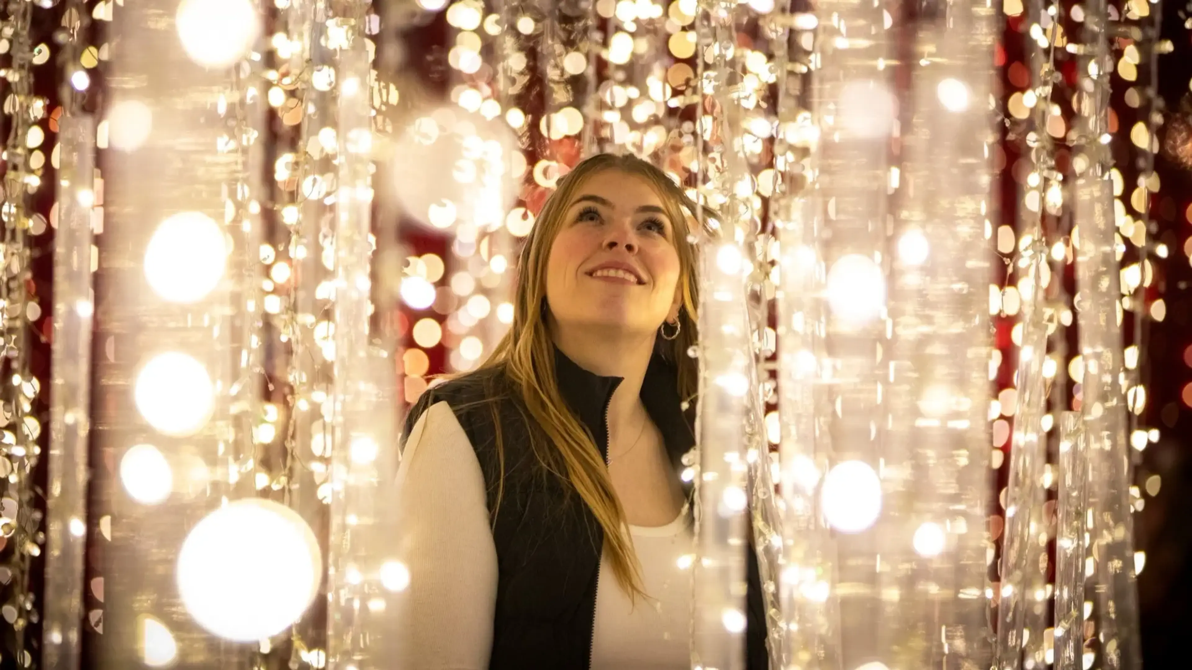 Vancouver Christmas Tree Lighting at Vancouver Art Gallery