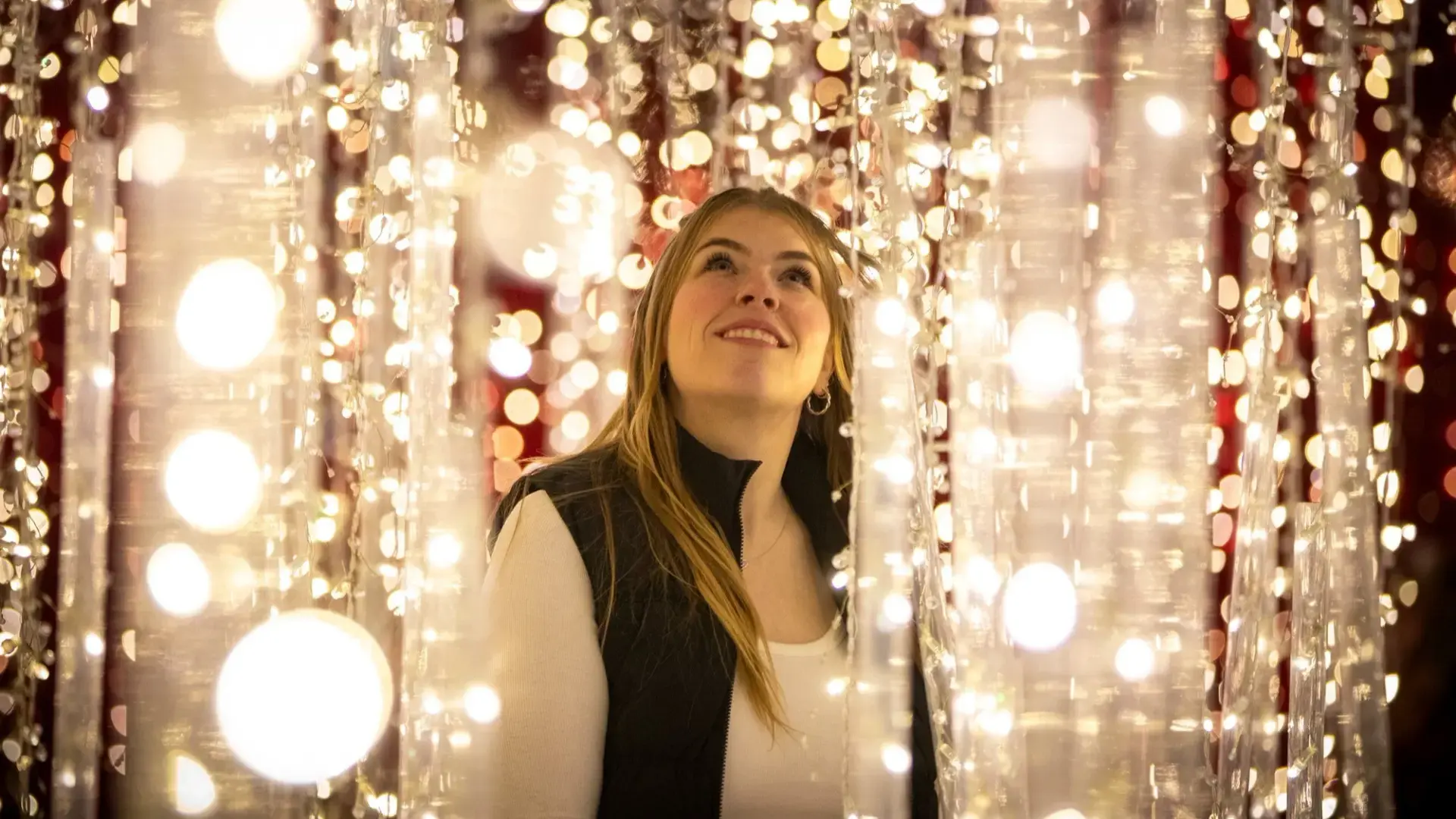 Vancouver Christmas Tree Lighting at Vancouver Art Gallery