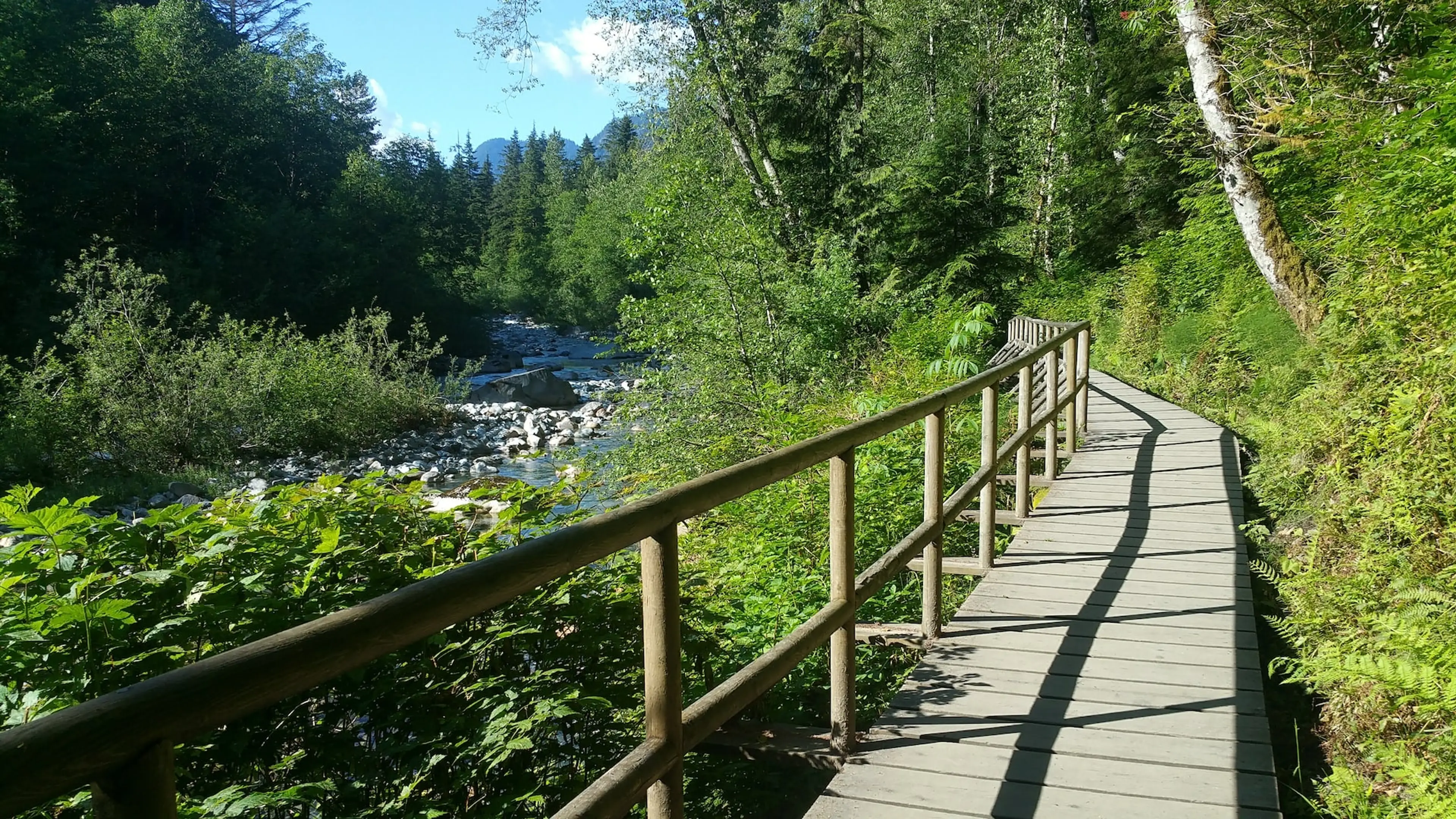 7 Things To Do at Lynn Headwaters Regional Park